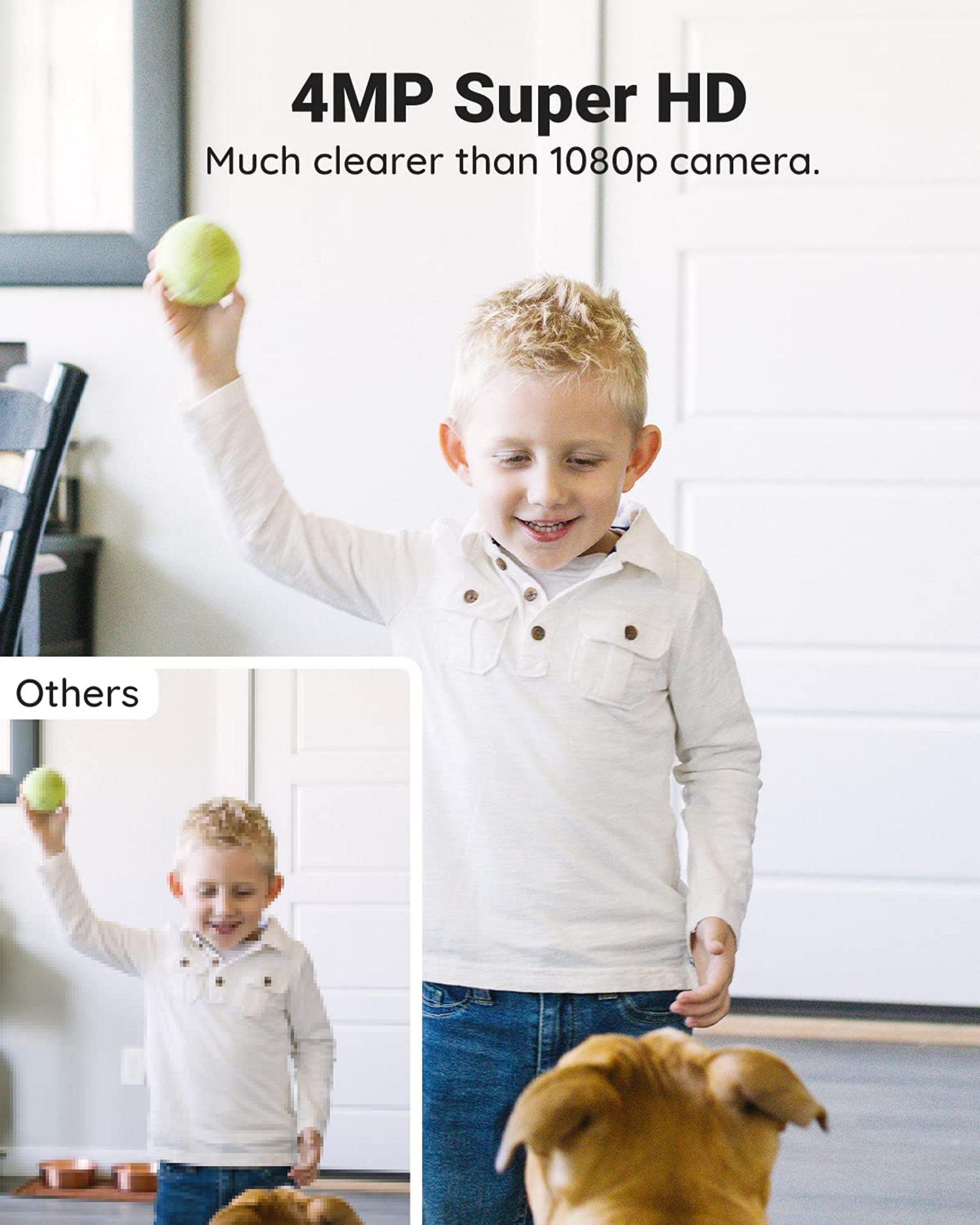 Ein Junge wirft einen Ball, ein Hund schaut zu. 4MP Super HD.