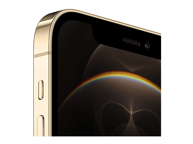 APPLE IPHONE 12 PRO 256GB GOLD 6 GB 256 GB Akıllı Telefon Gold