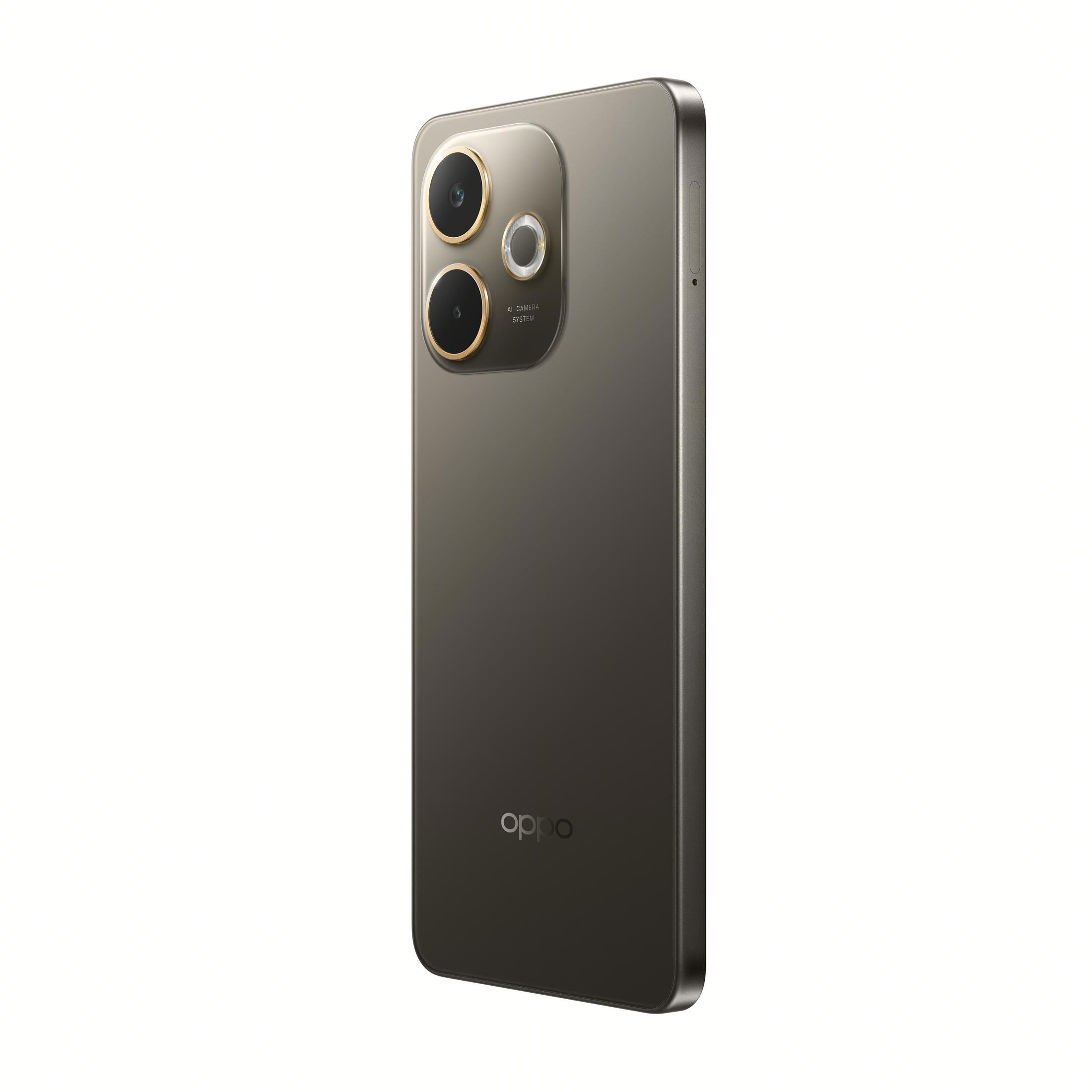 Arkada üç kamera ve Oppo logosu bulunan gri akıllı telefon.