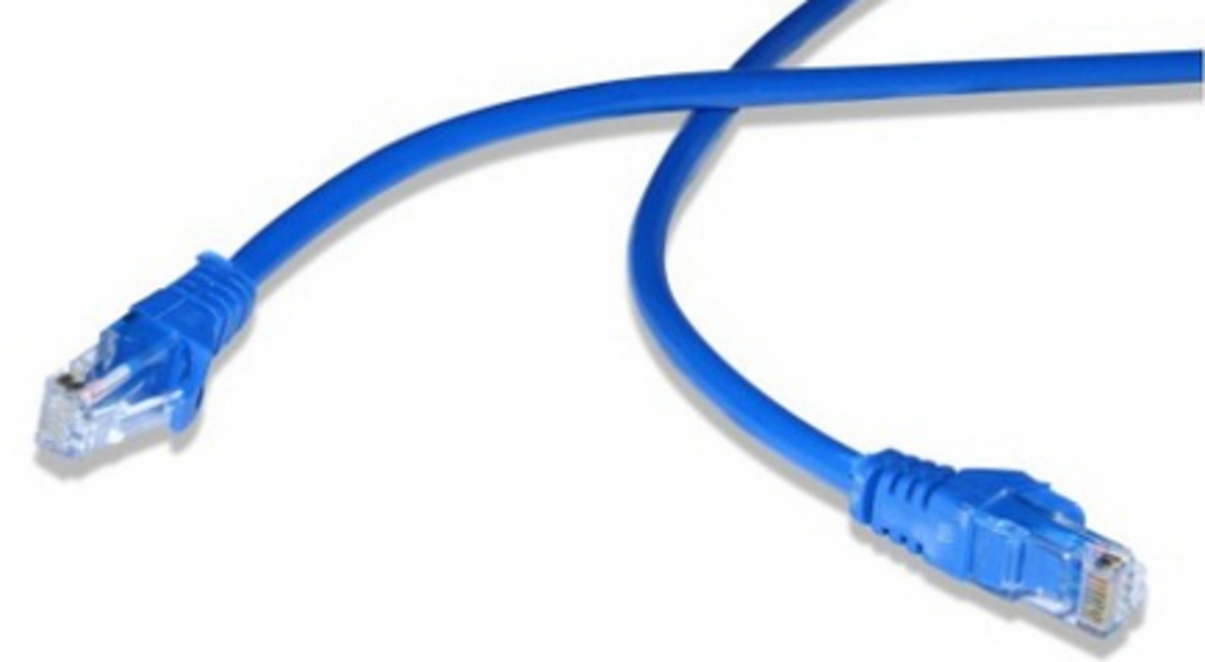 Dwa niebieskie kable sieciowe z przezroczystymi złączami są skrzyżowane.