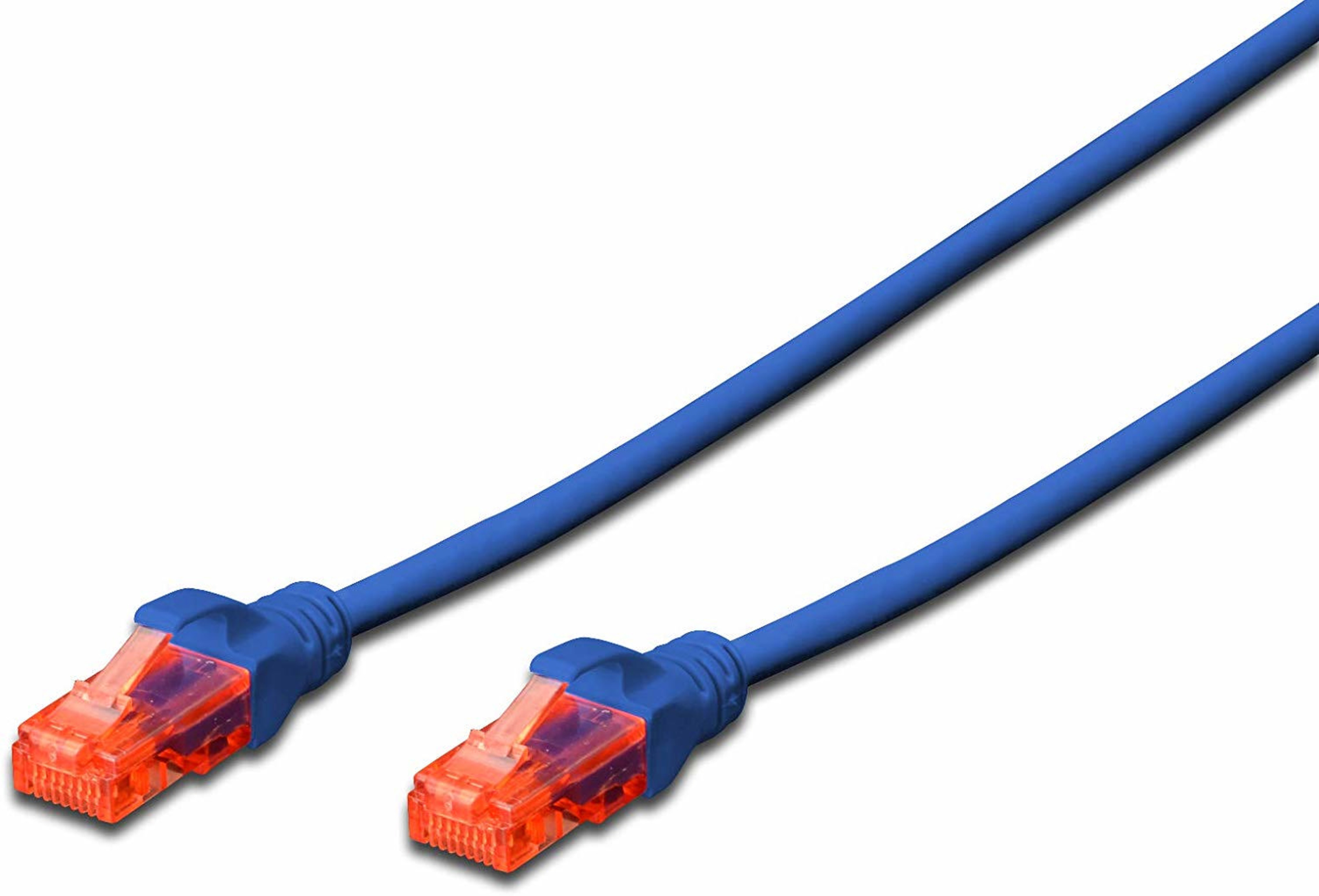 Şeffaf turuncu konektörlü mavi Ethernet ağ kablosu.