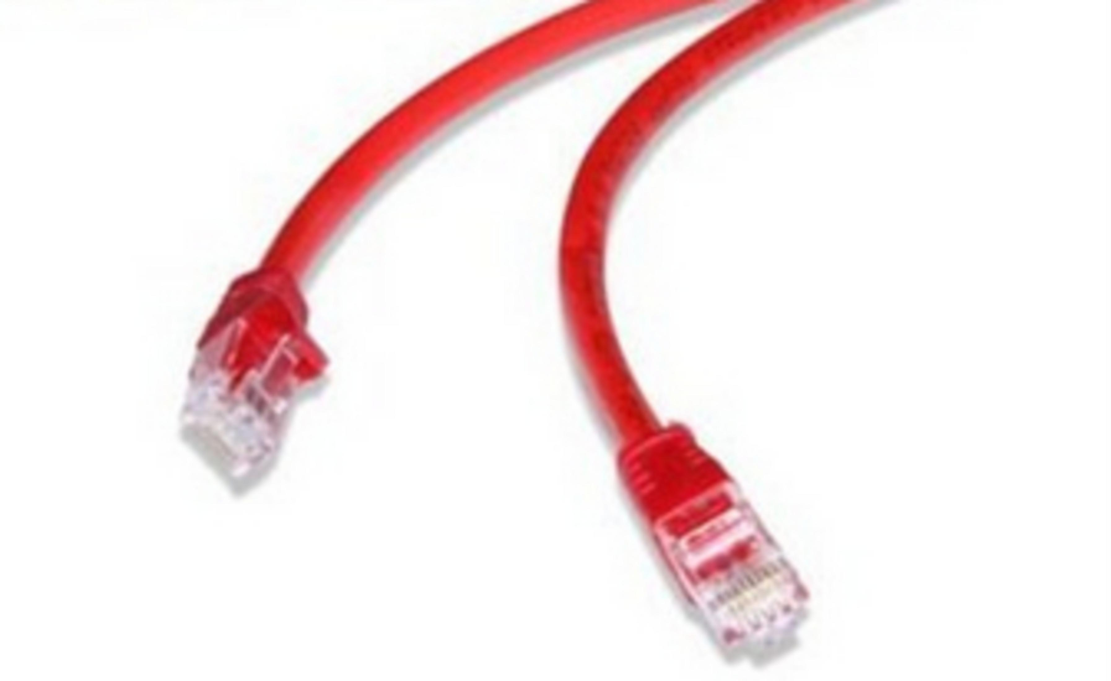 Dwa czerwone kable sieciowe z przezroczystymi złączami na białym tle.