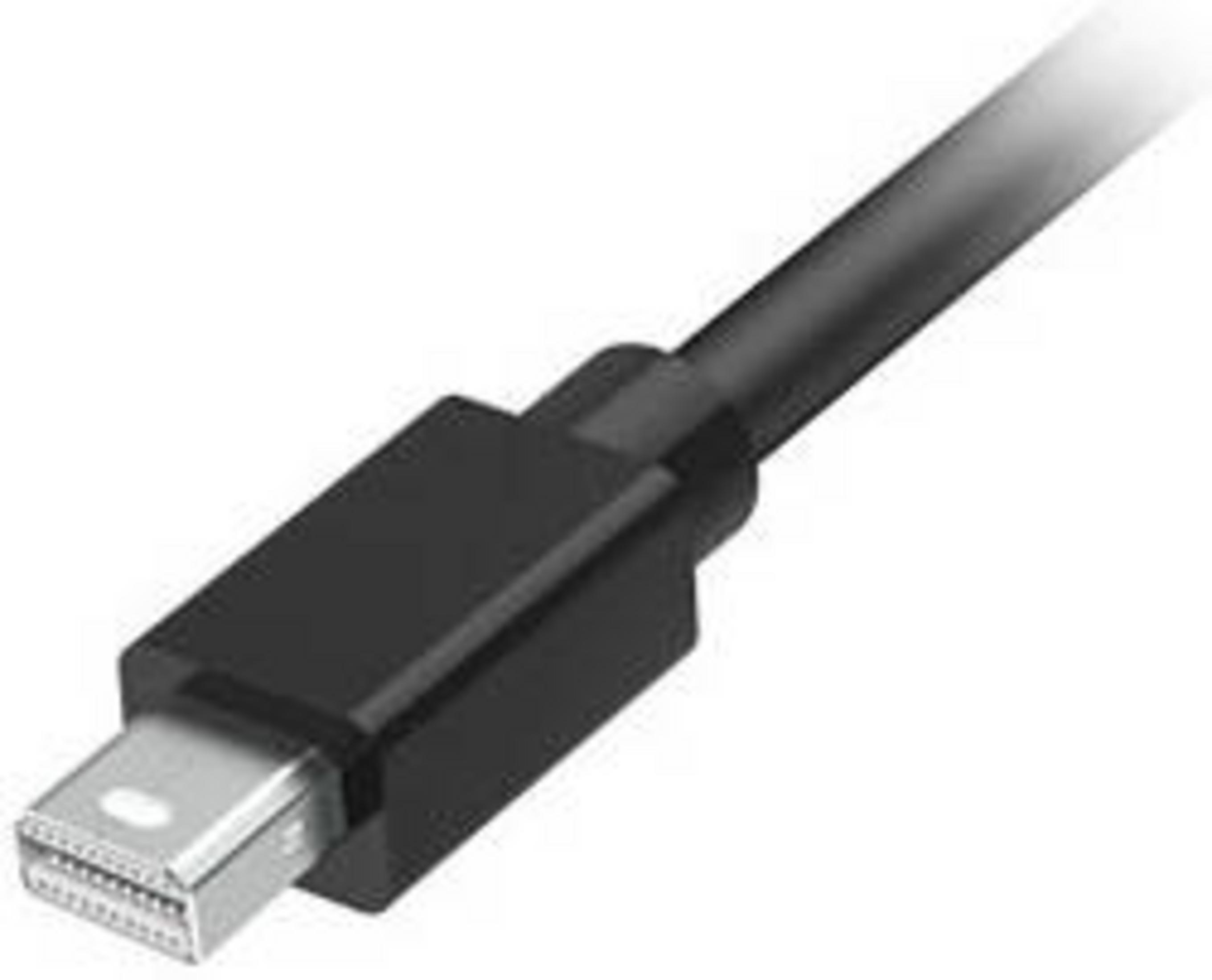 Ein schwarzes Kabel mit einem silbernen Stecker auf weißem Hintergrund.