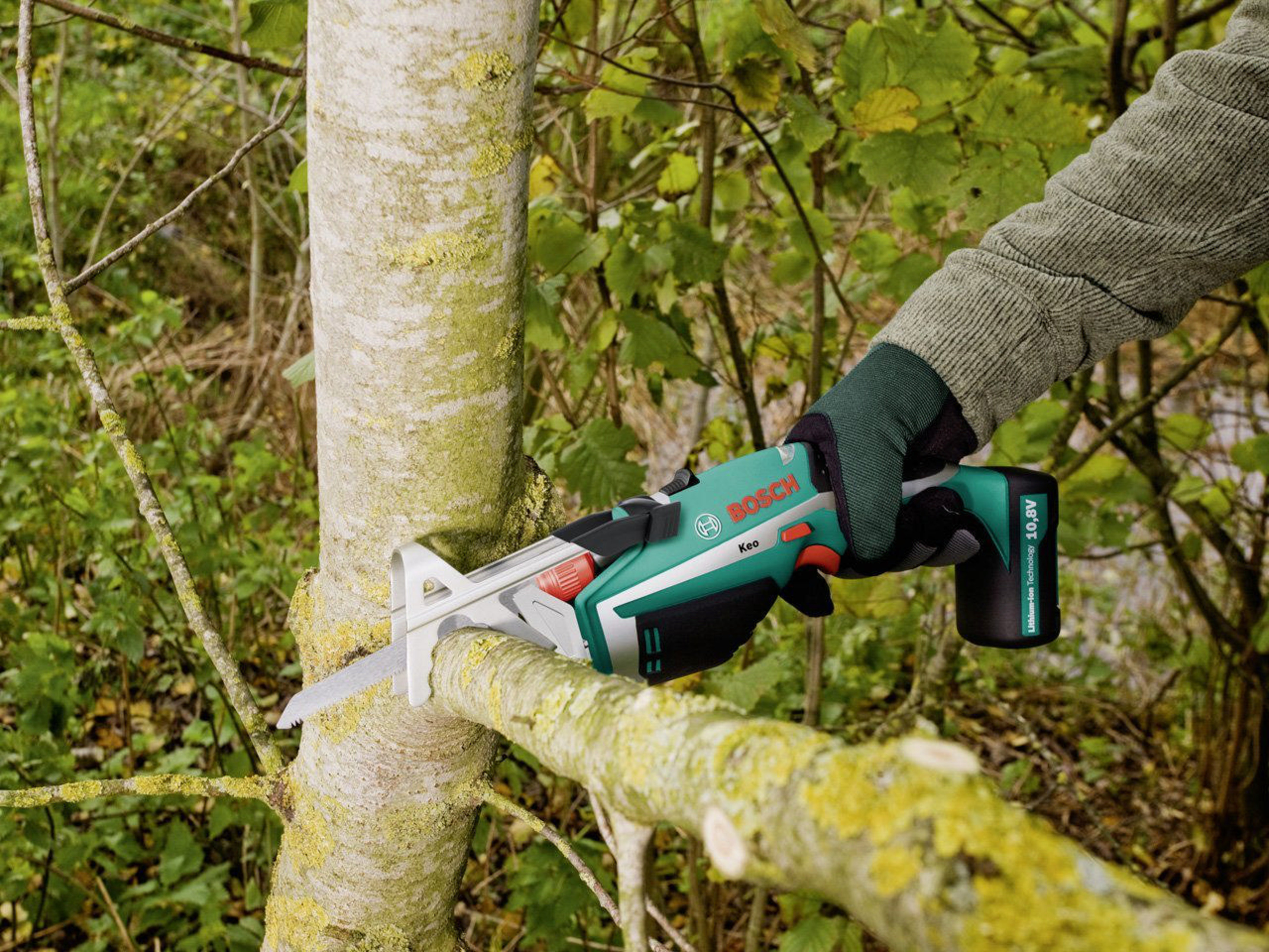 Persona con guantes corta rama con sierra Bosch verde.