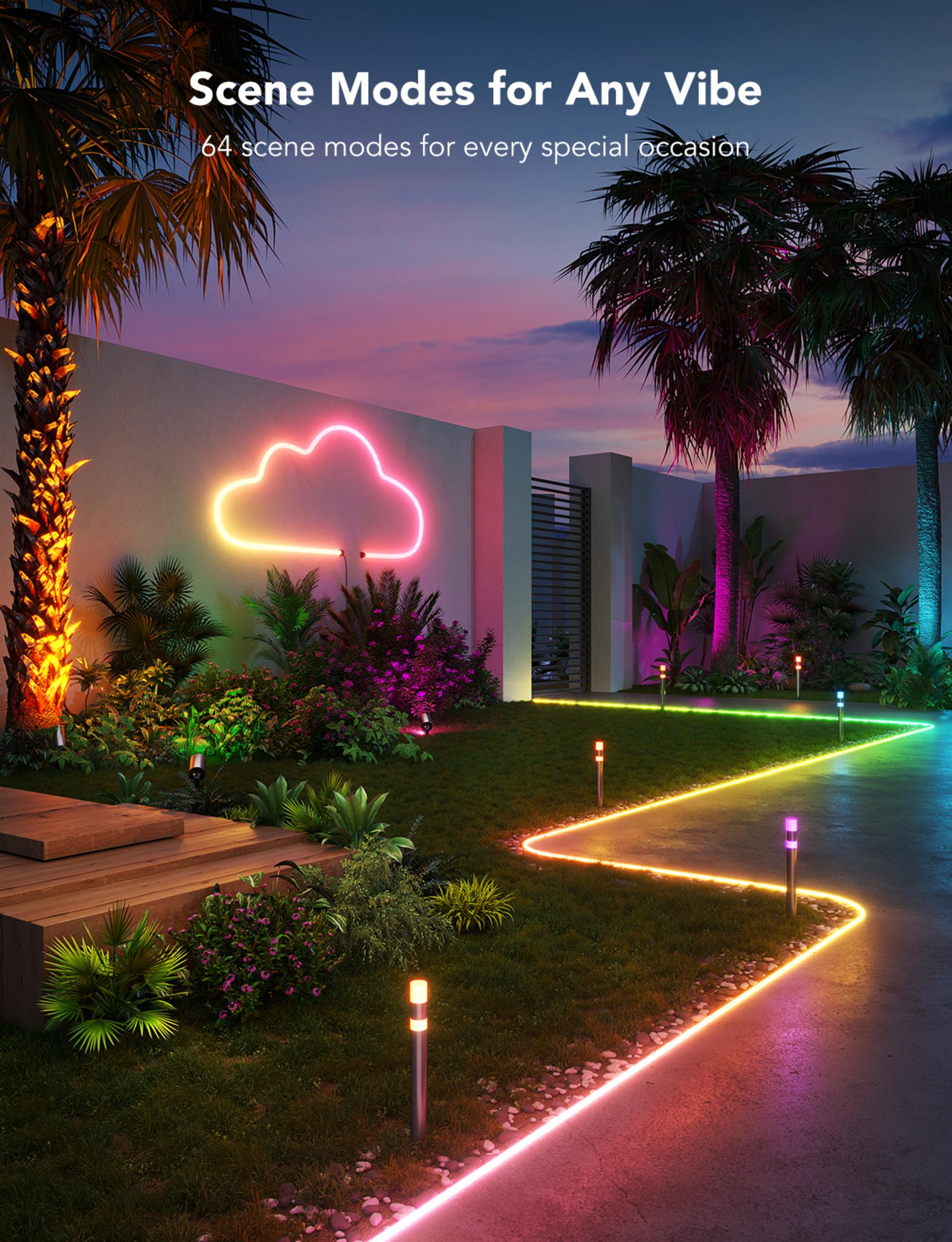 Illuminazione LED colorata adorna un giardino con palme, piante e una nuvola.