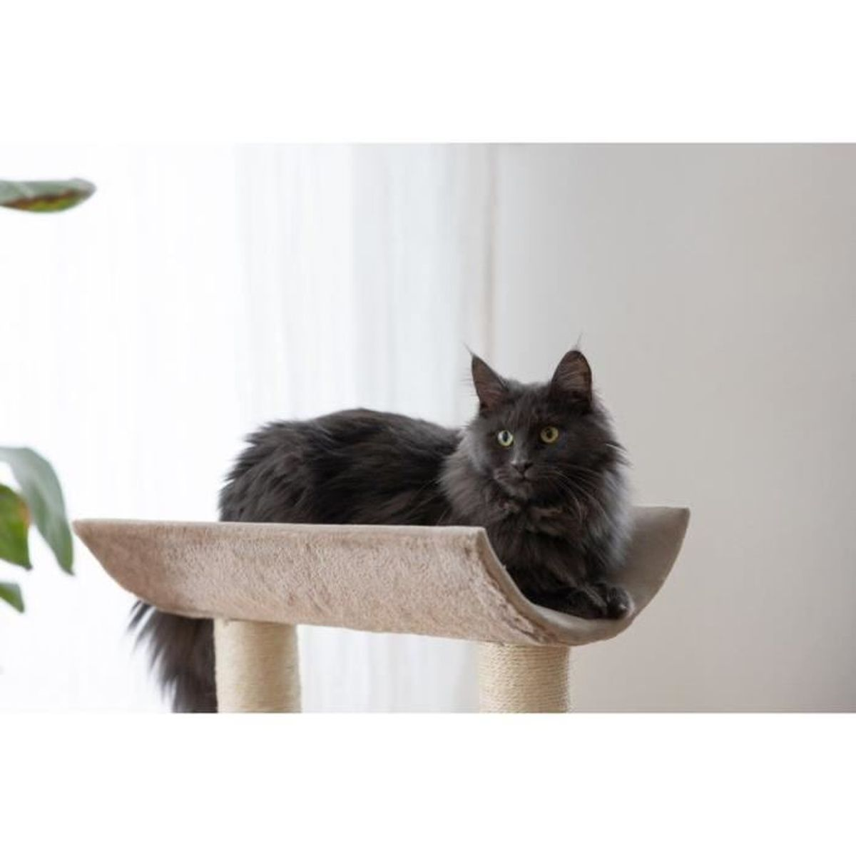 Un gatto grigio scuro con occhi gialli riposa su un tiragraffi.