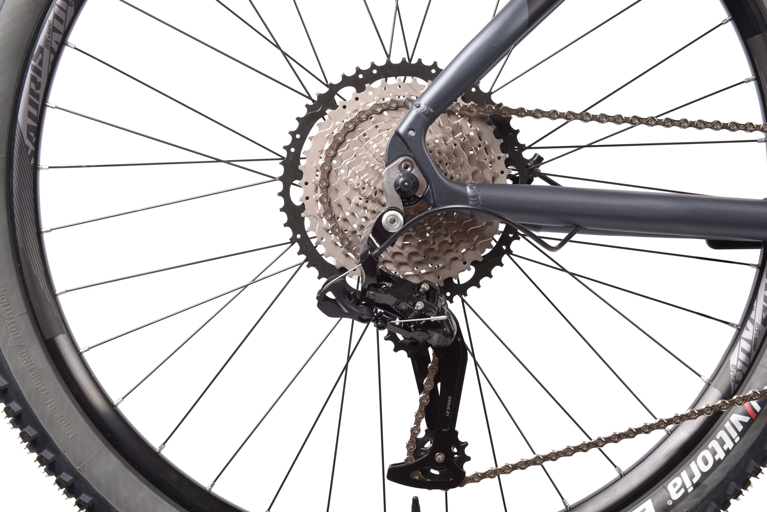 Zbliżenie tylnej przerzutki rowerowej z kasetą, łańcuchem i szprychami.