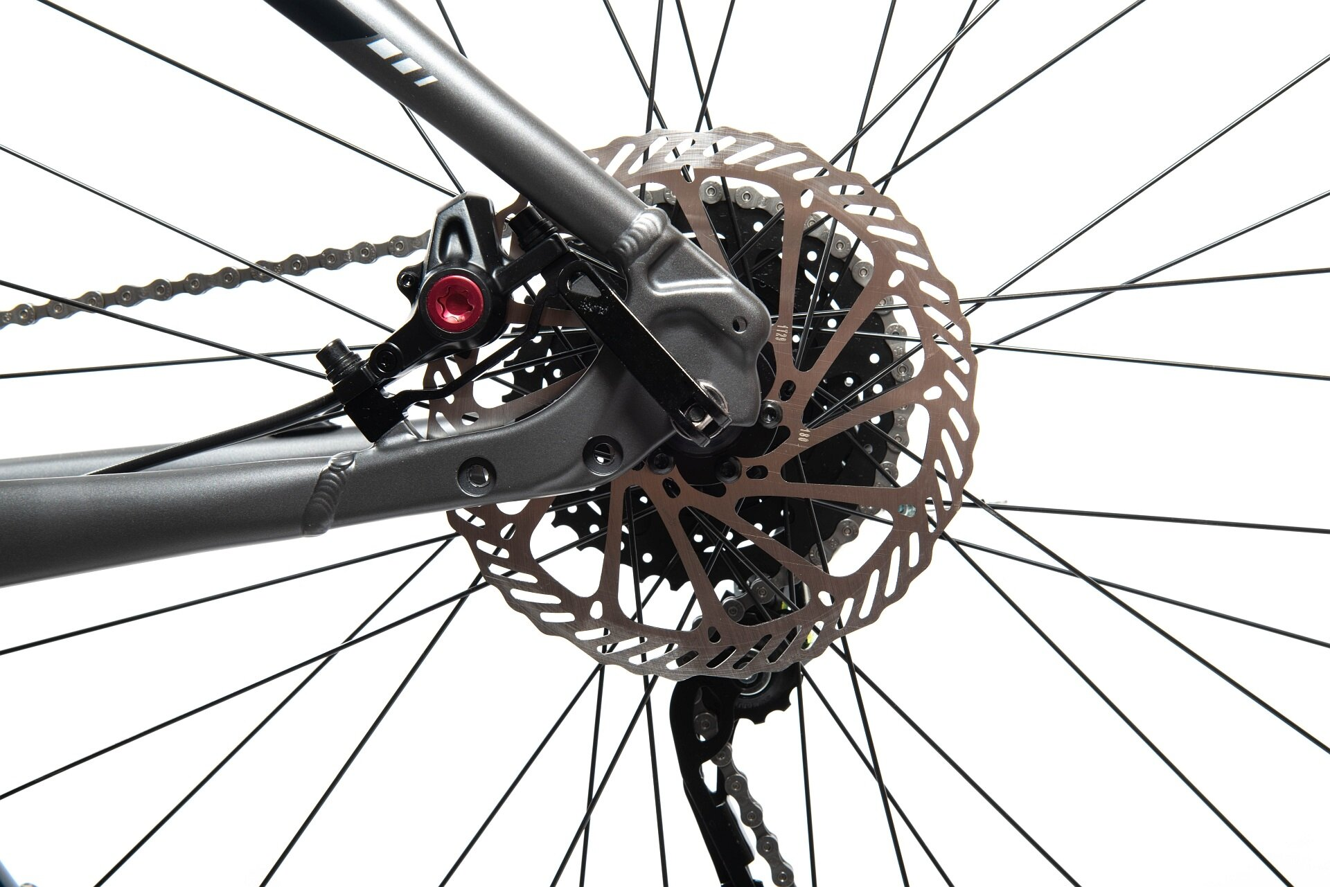 Zbliżenie tylnego koła roweru, pokazujące hamulec tarczowy, łańcuch i szprychy.