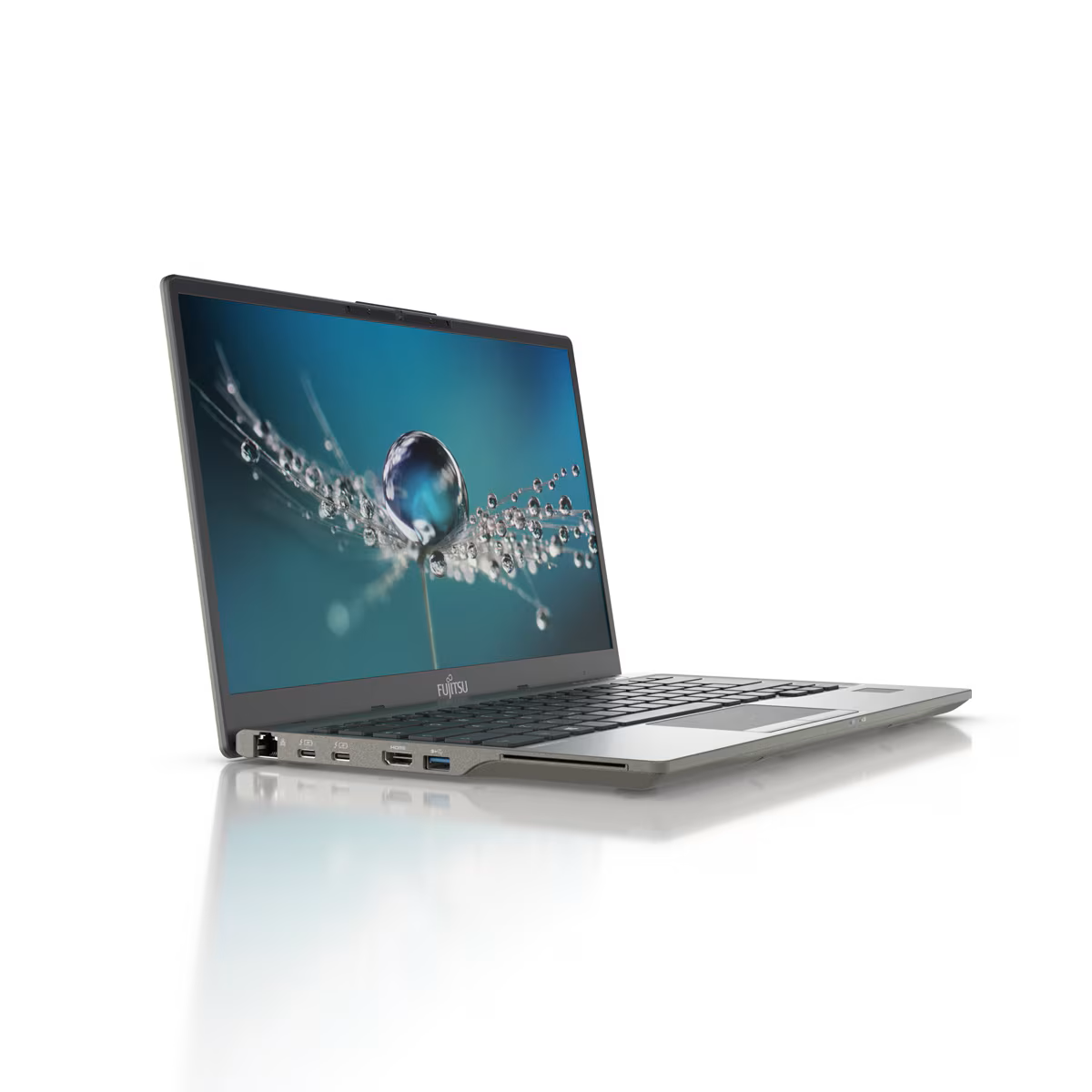 Ein Fujitsu-Laptop mit einem Wassertropfen auf einem Löwenzahnsamen auf dem Bildschirm.
