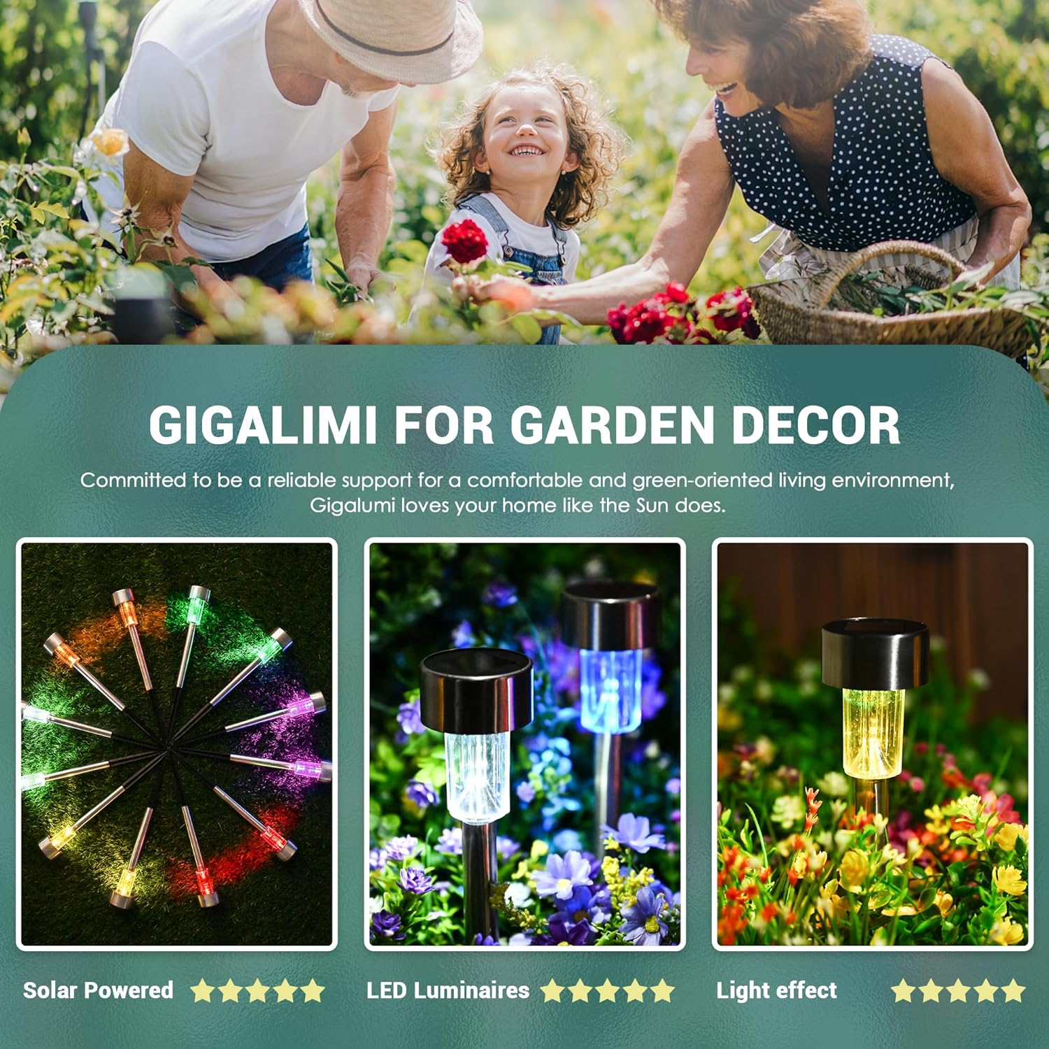 Gartenlicht-Kollektion: Solarbetriebene, bunte LED-Leuchten in verschiedenen Mustern.