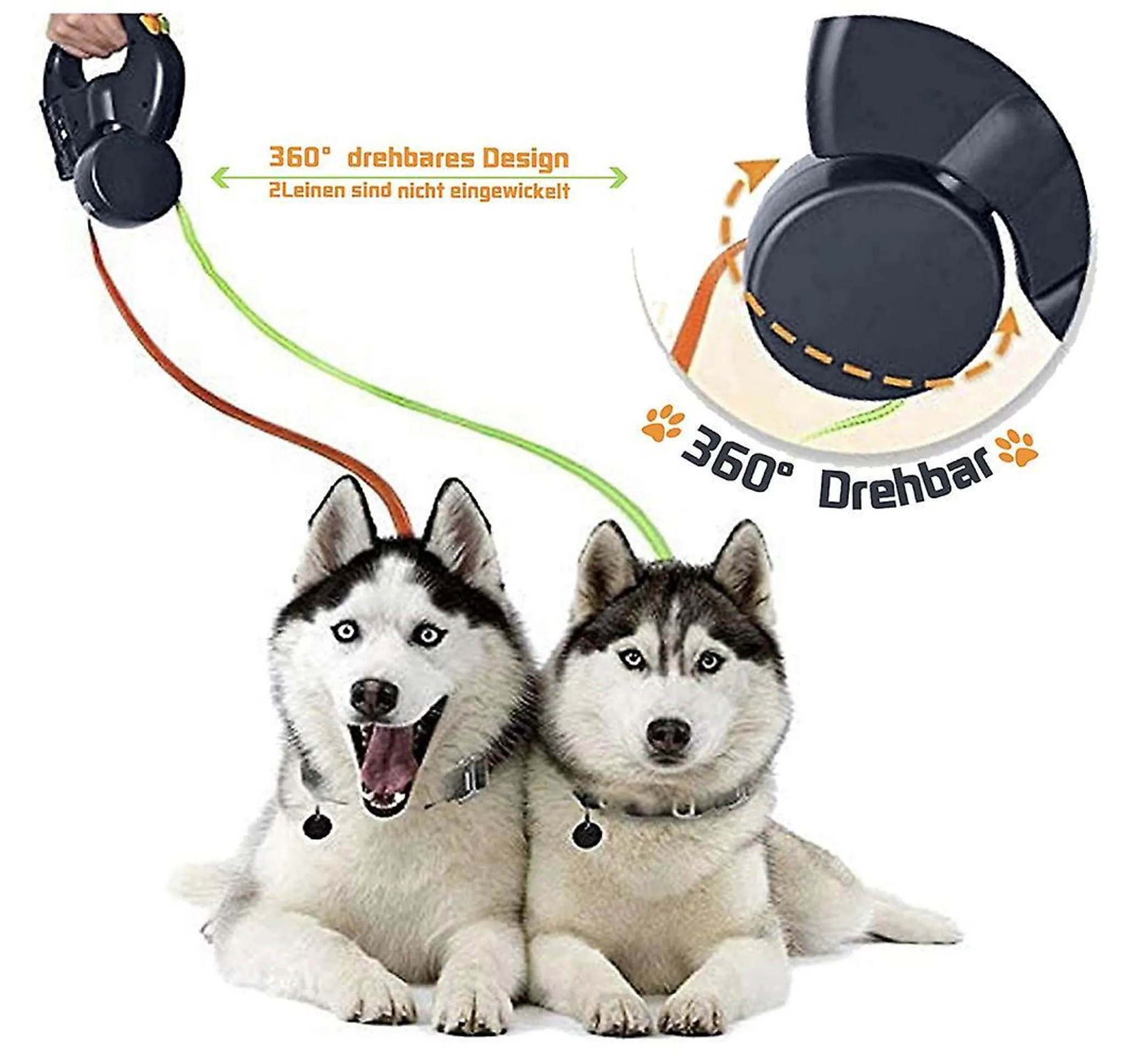 Zwei Huskys liegen nebeneinander. Ein Hundehalsband mit Anhänger ist sichtbar.