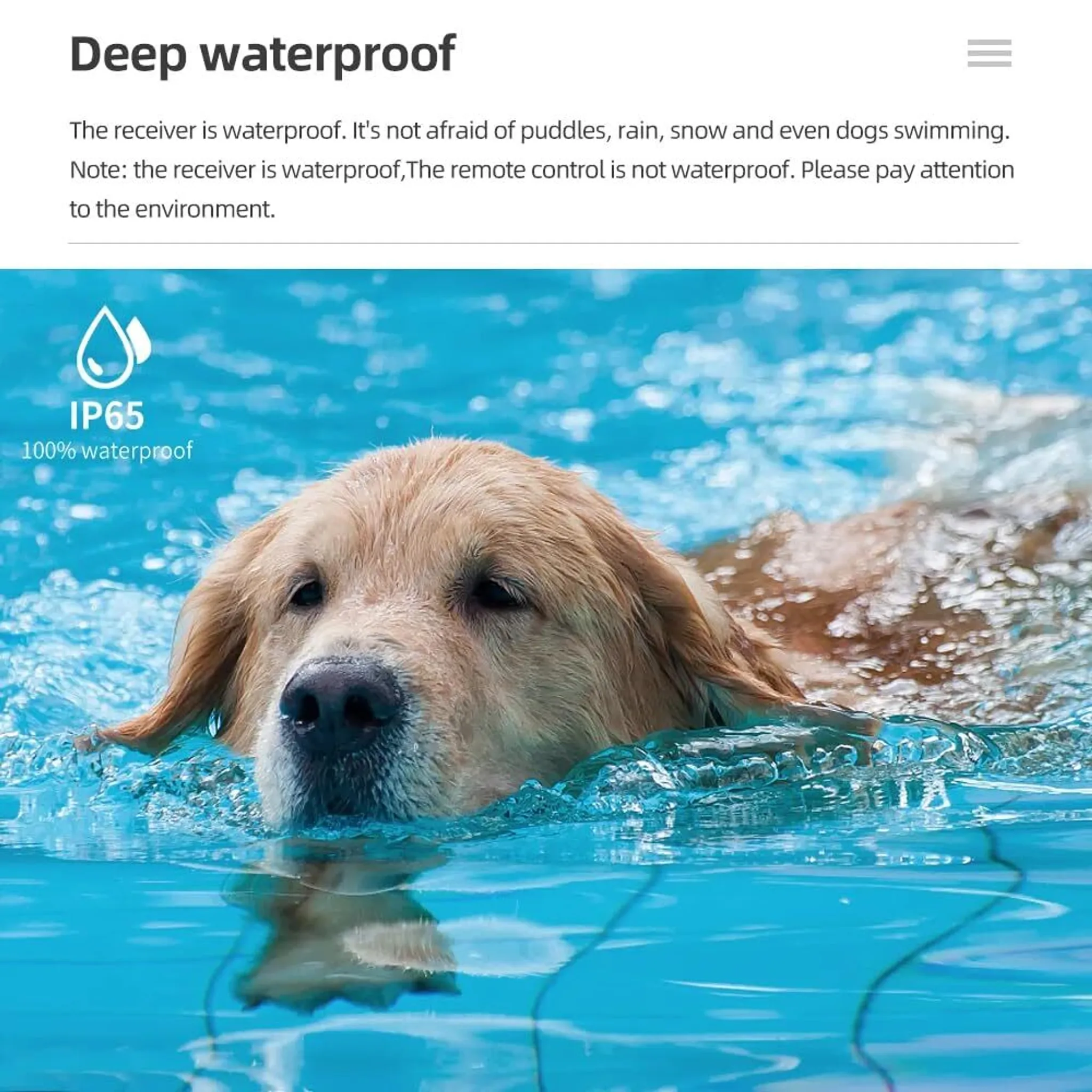 Ein Golden Retriever schwimmt in klarem blauem Wasser.