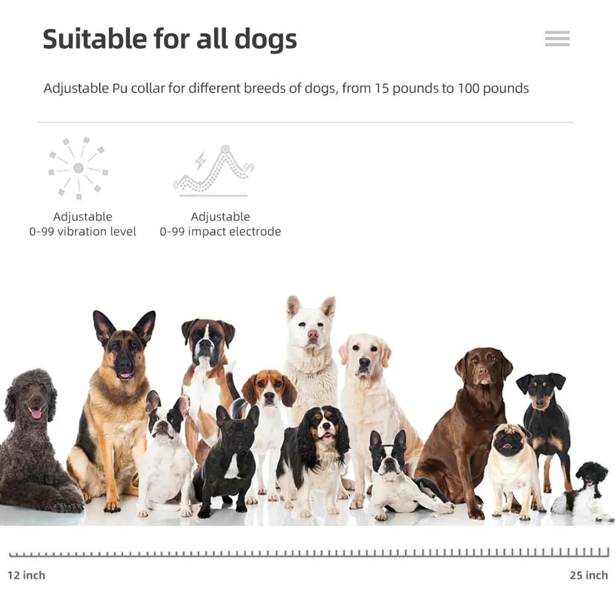 Eine Gruppe von Hunden verschiedener Rassen sitzt nebeneinander.
