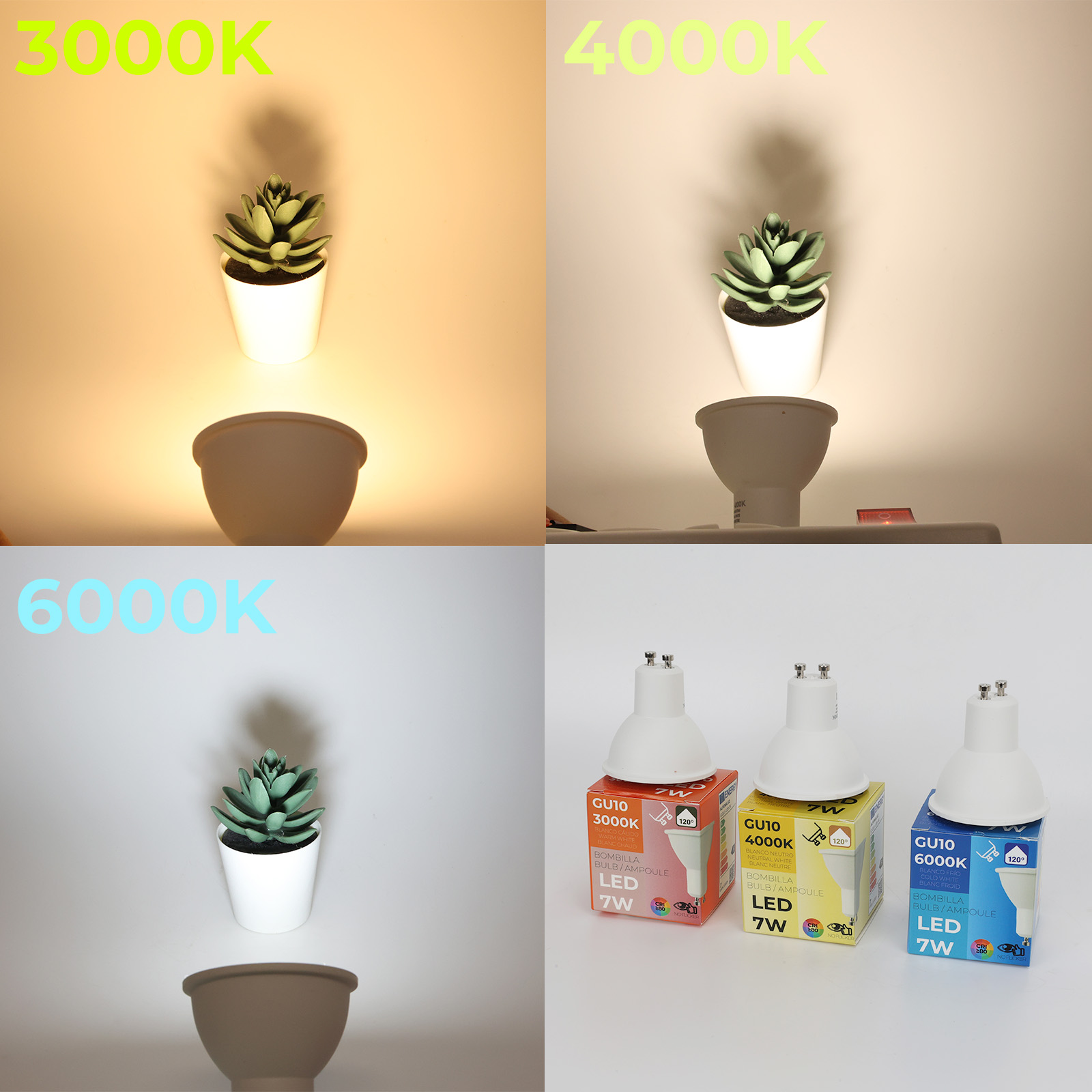 Cuatro escenas muestran bombillas, plantas y embalajes a 3000K, 4000K, 6000K.