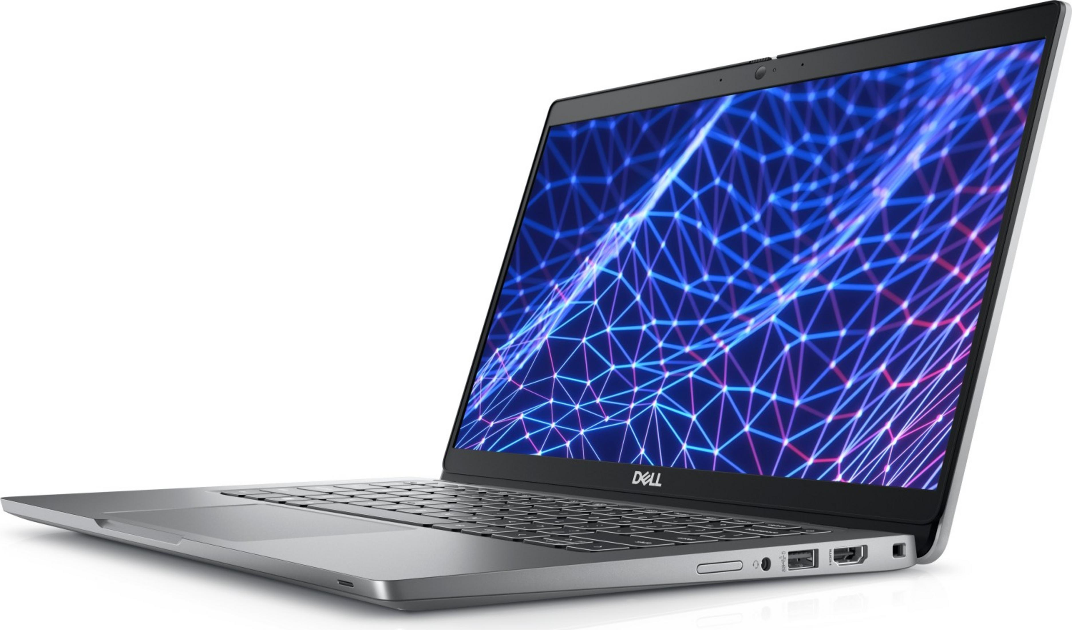 Un laptop Dell argentato mostra una grafica di rete blu connessa.
