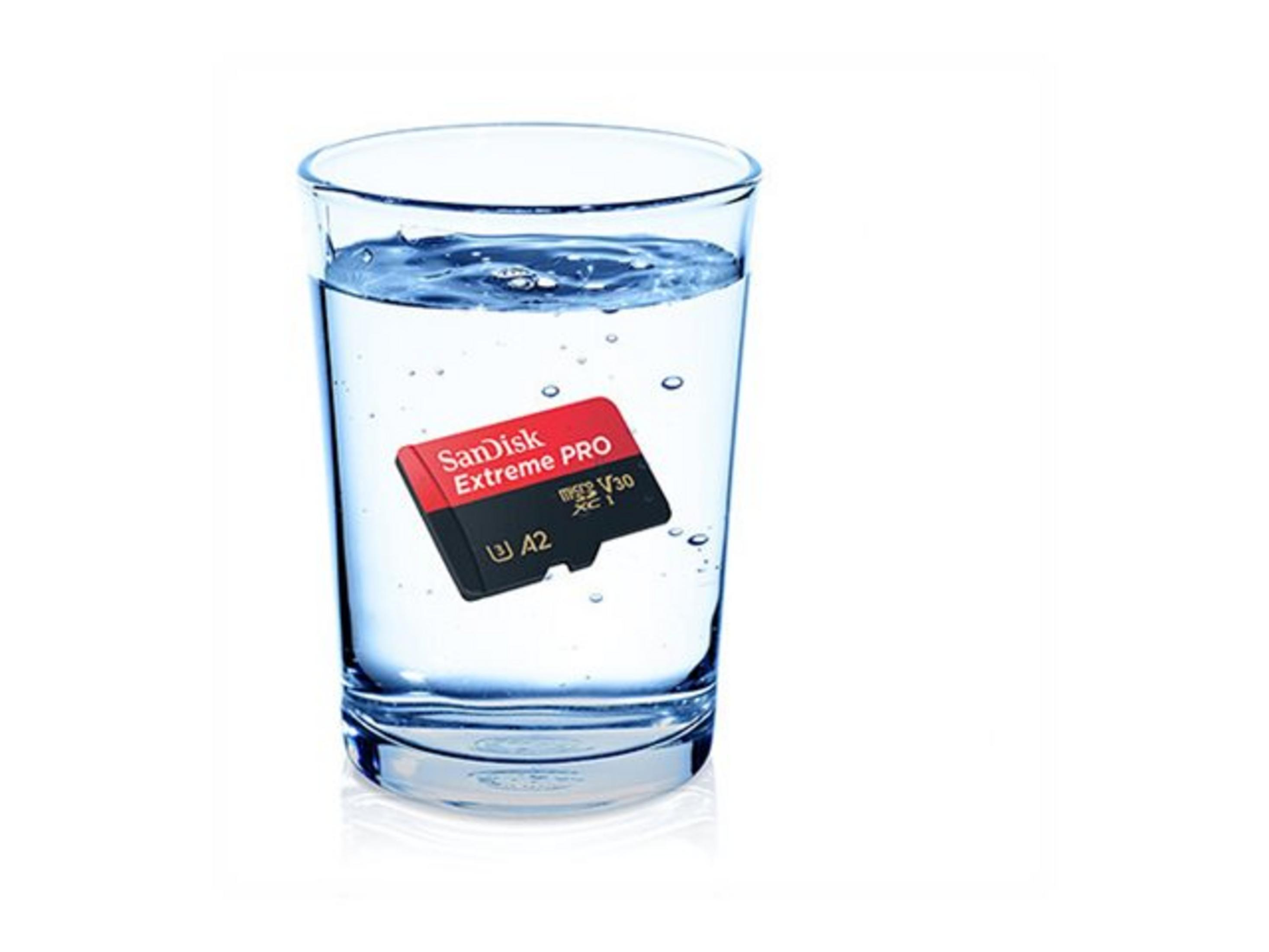 Eine rote microSD-Karte mit "SanDisk Extreme PRO" in einem Glas Wasser.