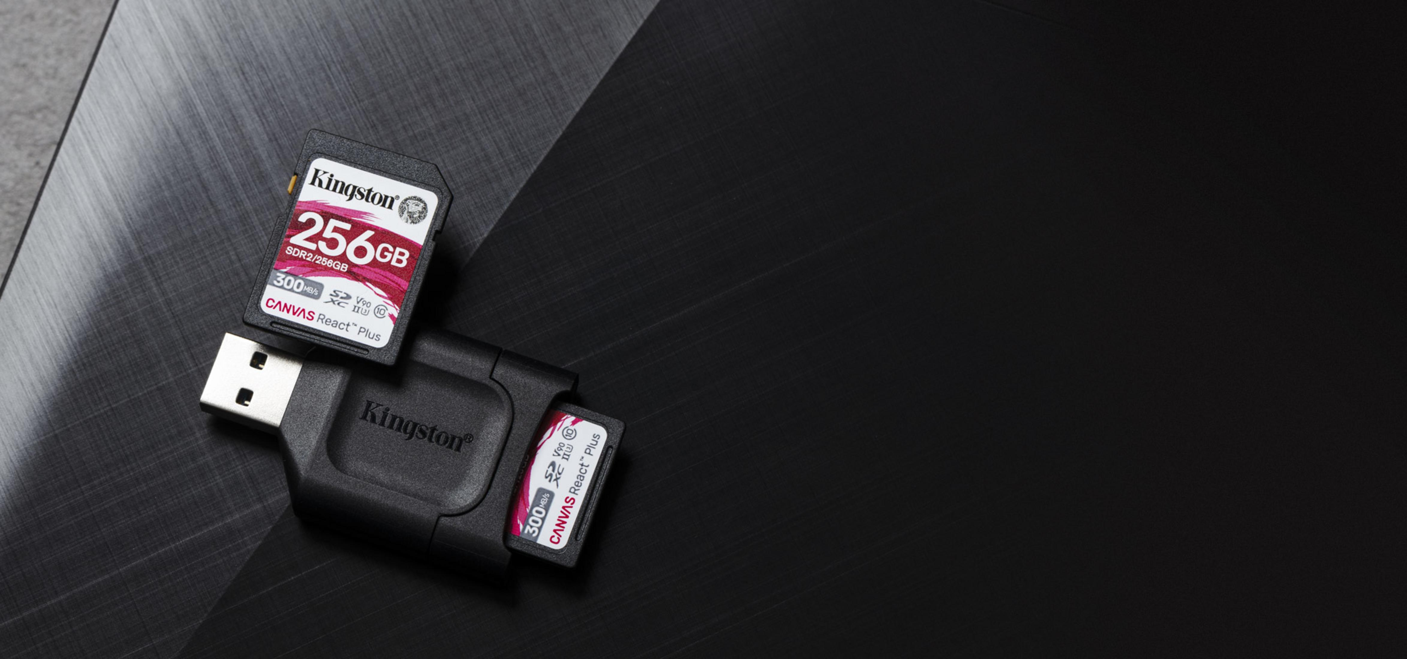 Due schede SD Kingston e un lettore di schede USB su superficie nera.