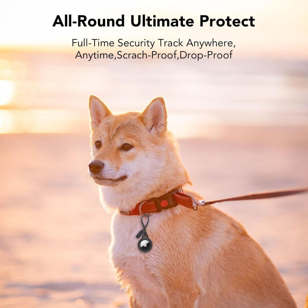 Ein Shiba Inu sitzt am Strand mit einem AirTag-Halter am Halsband.