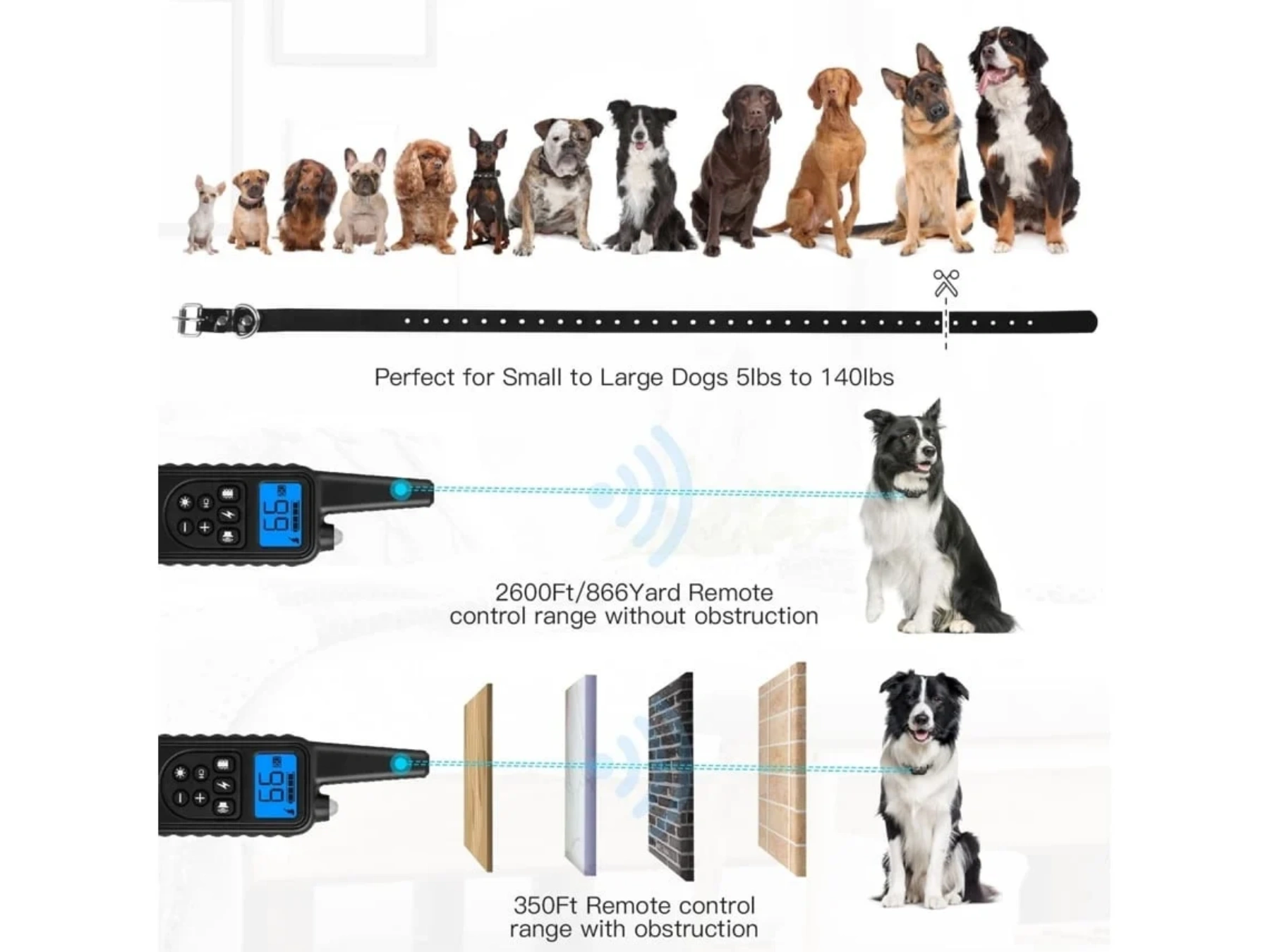 Hunde verschiedener Größen, Hundehalsband, Fernbedienung mit Reichweitenanzeige.