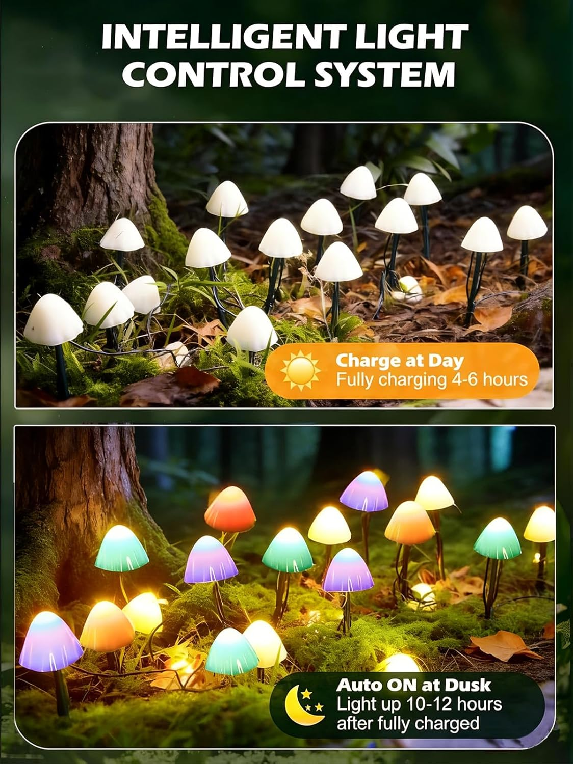 Weiße Pilz-Lichter laden tagsüber, bunte leuchten nachts.
