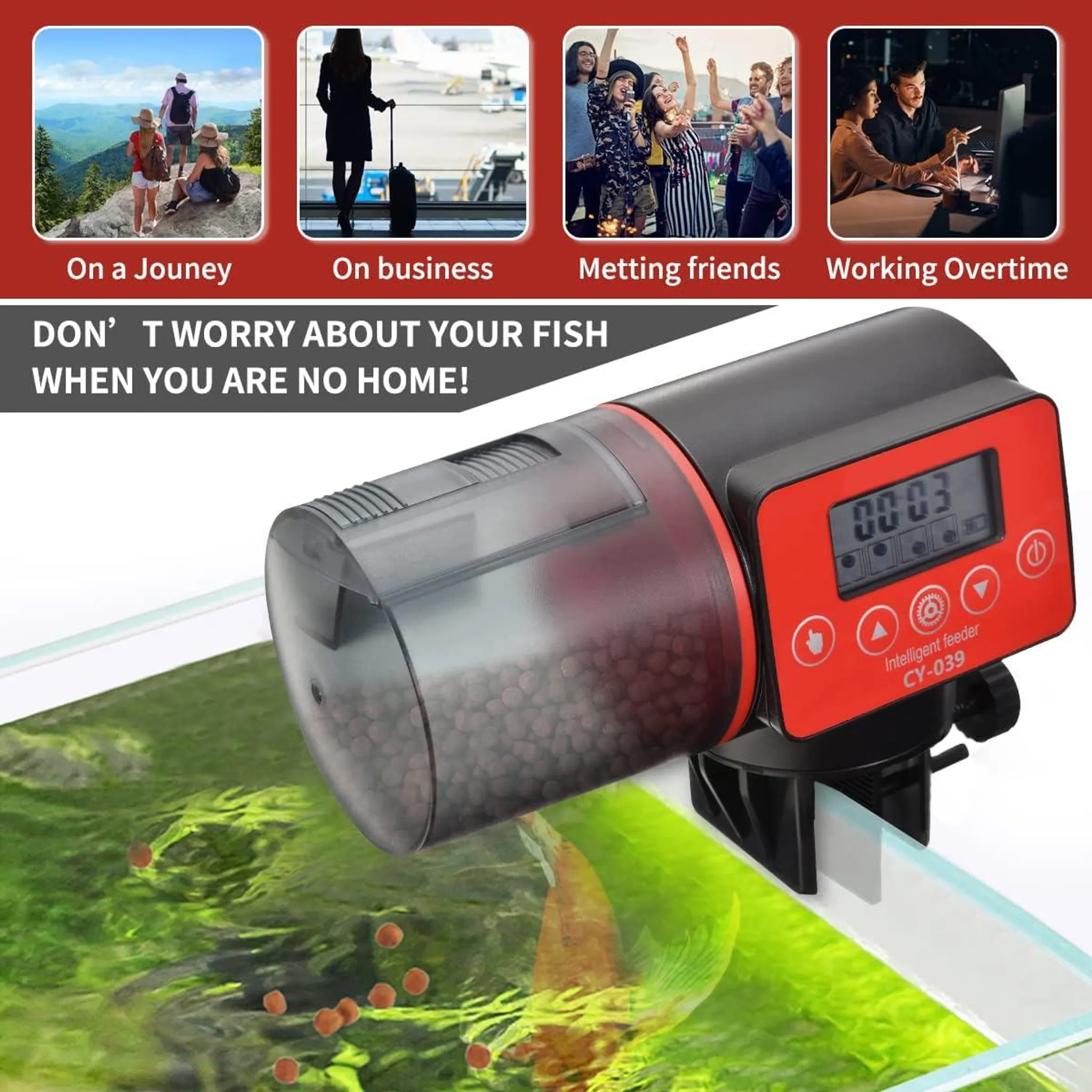 Ein automatischer Futterautomat für Aquarien füttert Fische mit Pellets.