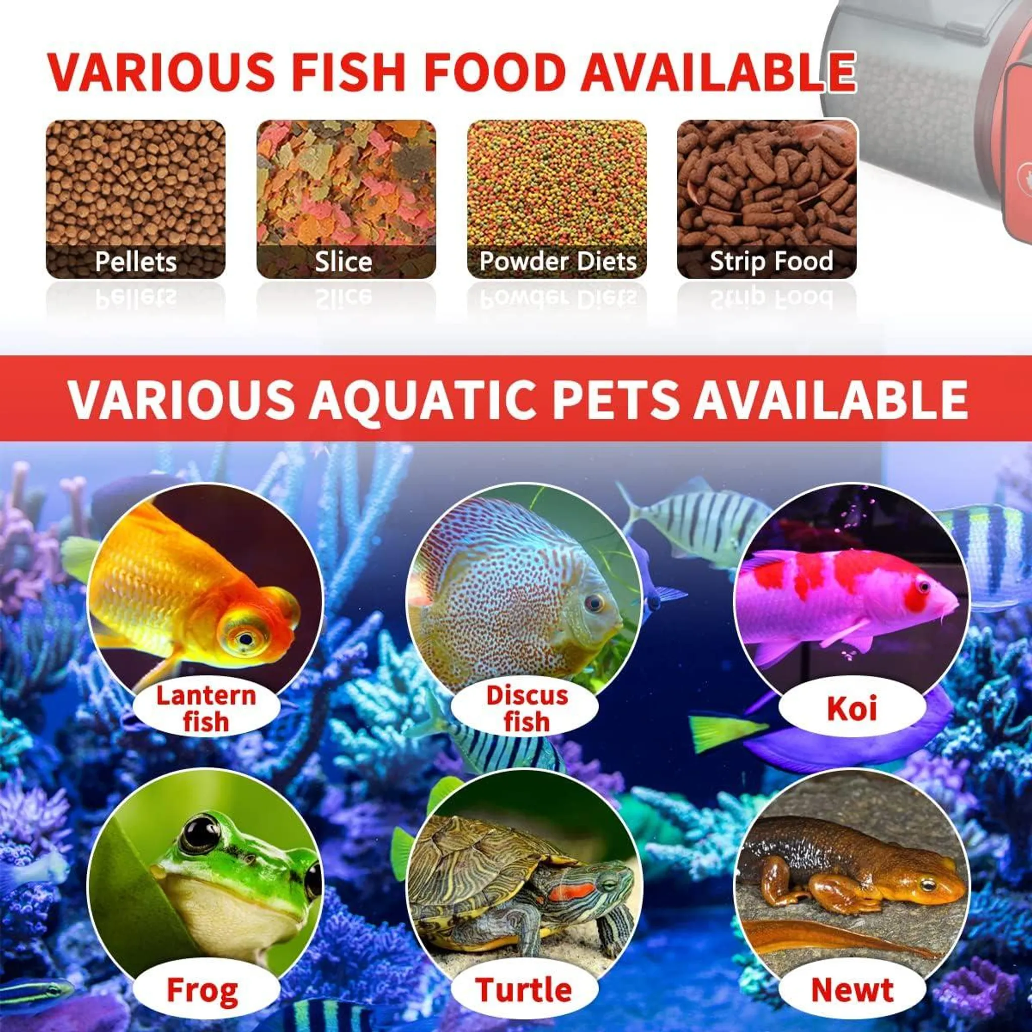 Verschiedene Fischfutter und Aquarientiere: Goldfisch, Diskusfisch, Koi, Frosch, Schildkröte, Molch.