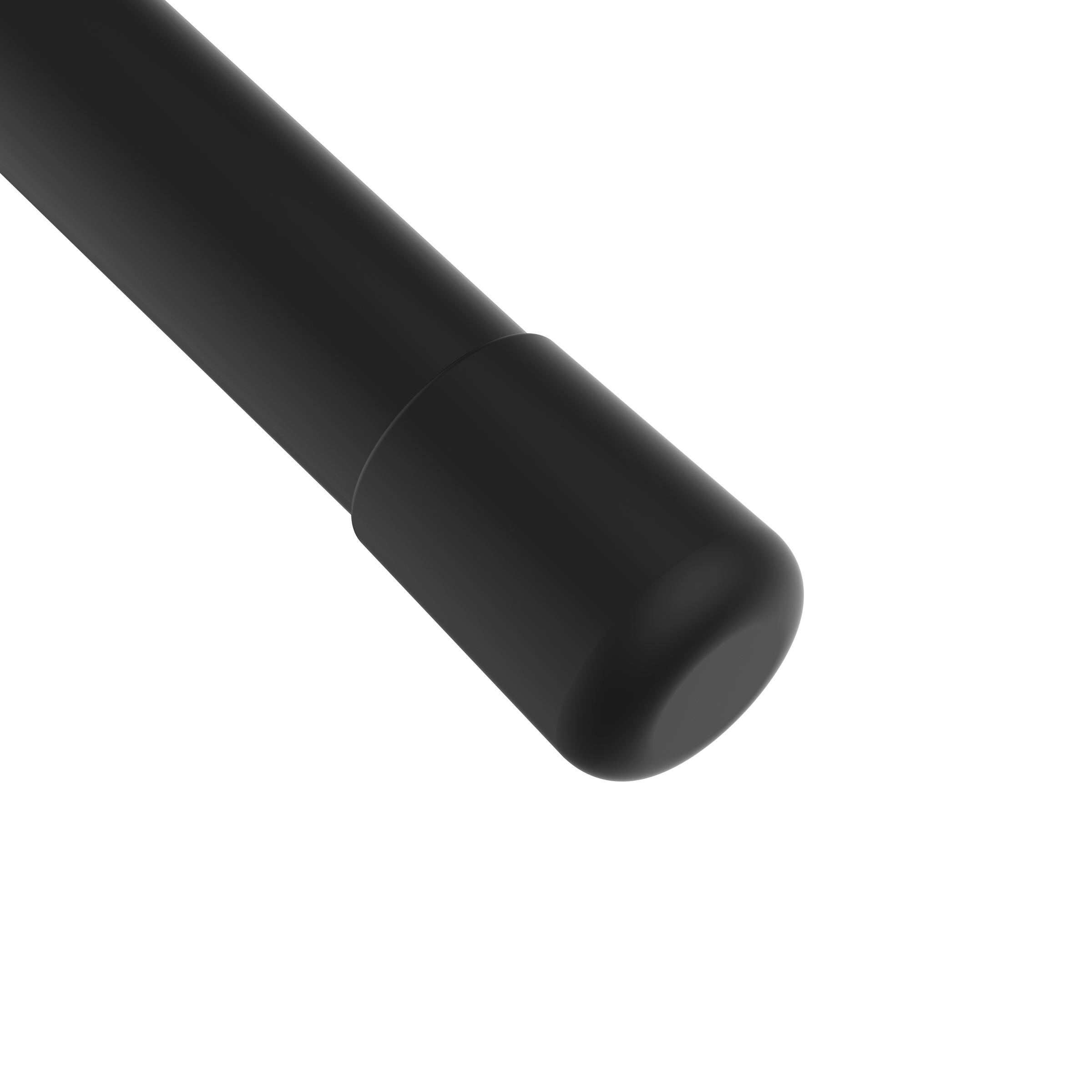 A black, rounded rod with a cap. White background.