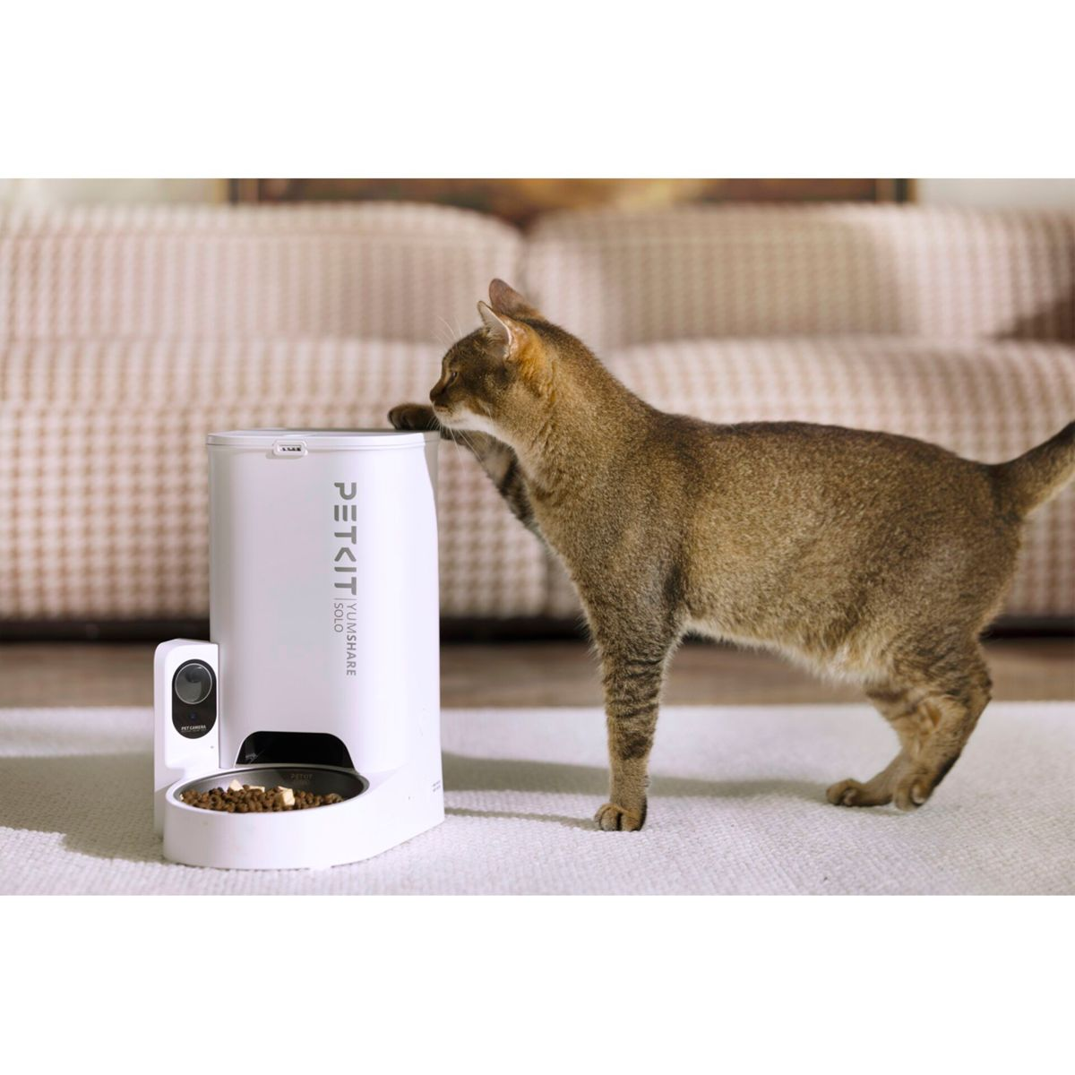 Brązowy kot dotyka białego automatycznego podajnika karmy z kamerą.