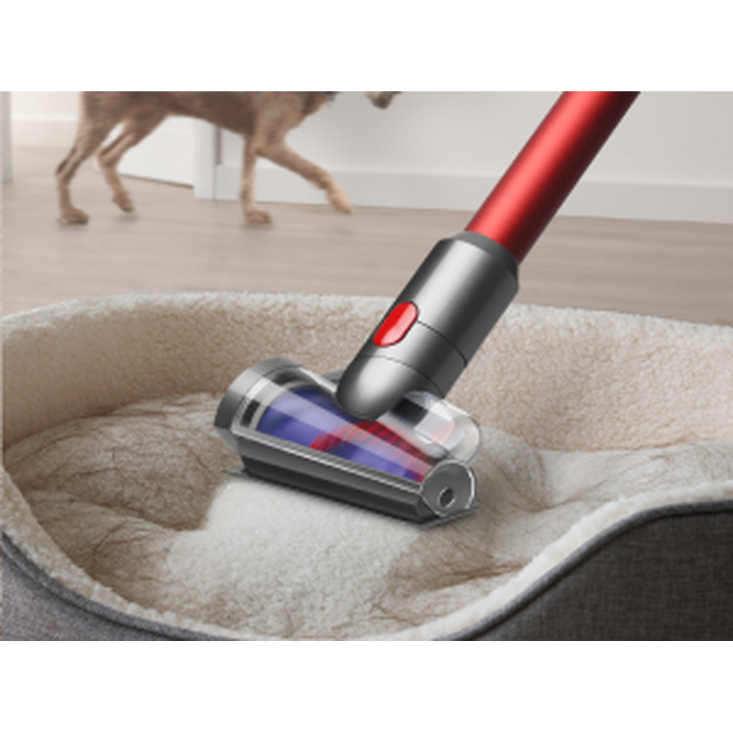 Ein Staubsaugerkopf reinigt ein Hundebett, während ein Hund im Hintergrund vorbeigeht.