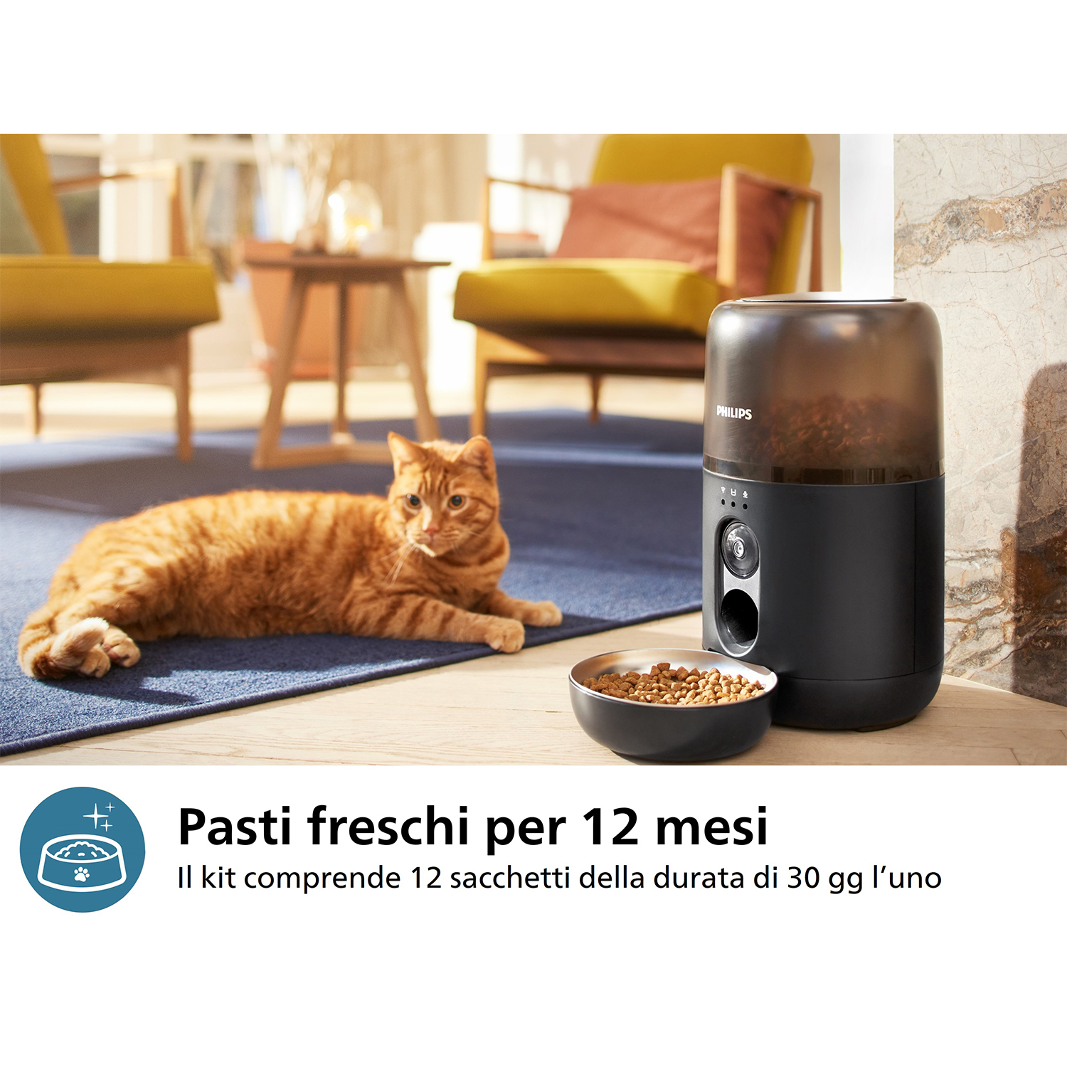 Eine orangefarbene Katze liegt neben einem Futterspender und einem Napf mit Futter.