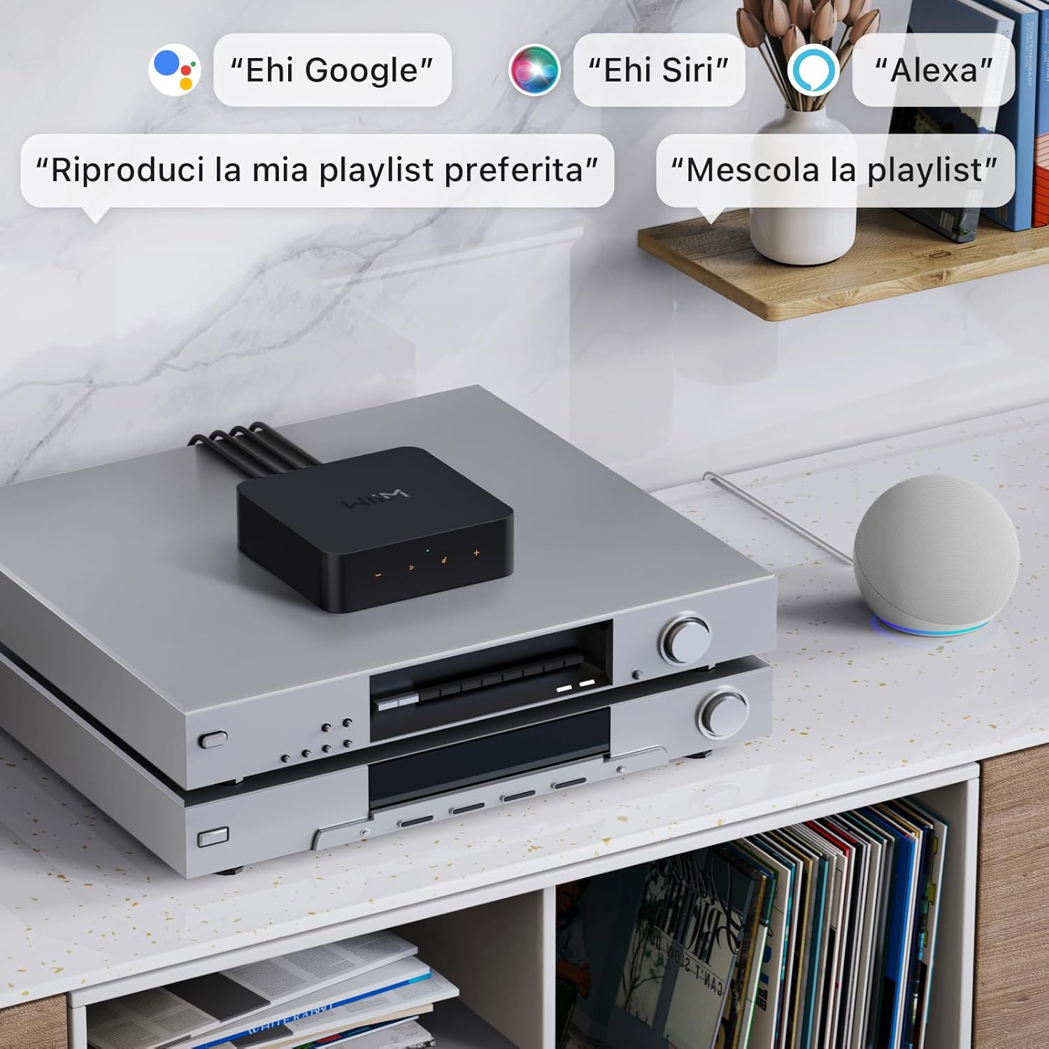 Ein schwarzes Audiogerät auf einem silbernen Receiver, daneben ein weißer Smart Speaker.