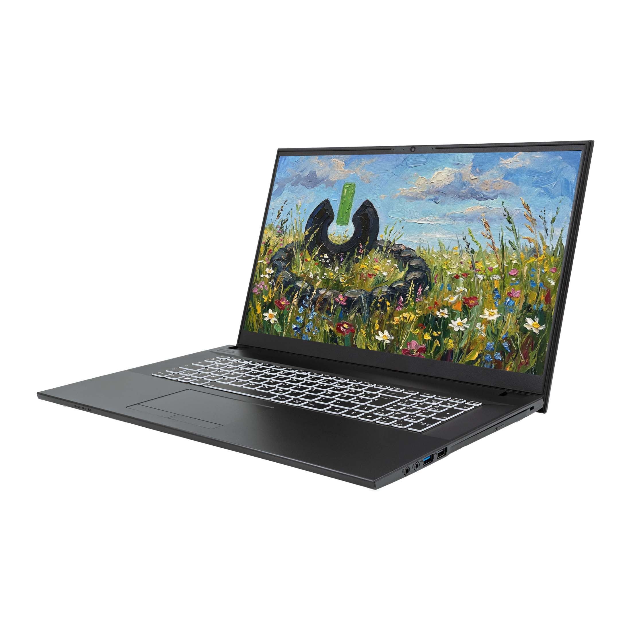 Schwarzer Laptop mit hellem Bildschirm, der ein Ölgemälde einer Blumenwiese zeigt.