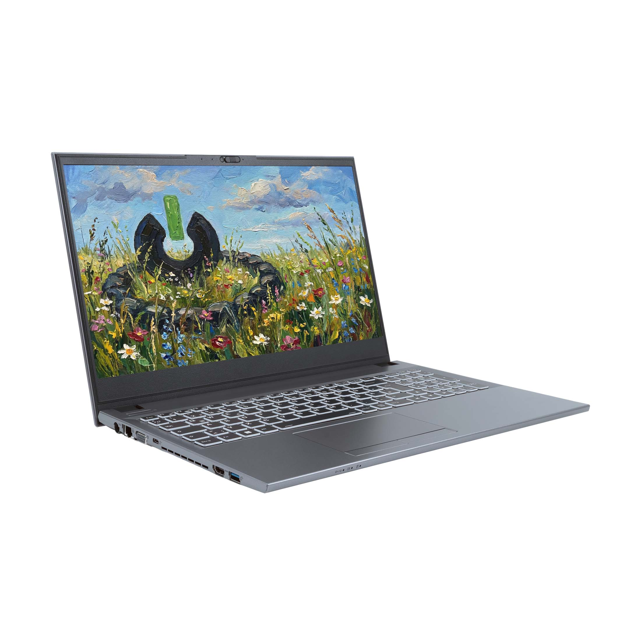 Graues Laptop mit einem Gemälde einer Wiese mit Blumen und einem Felsen.