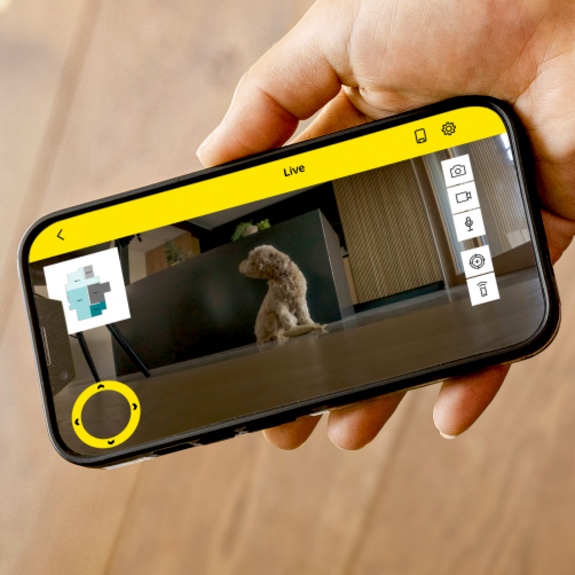 Ein Hund sitzt vor einem Smartphone, das eine App mit Grundriss und Bedienelementen anzeigt.