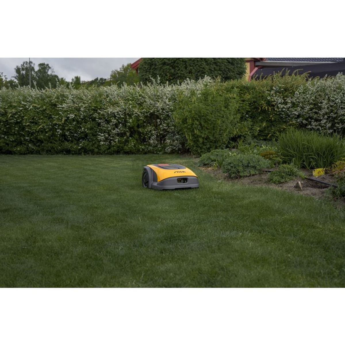 Un robot tosaerba giallo e grigio su un prato verde davanti a una siepe.