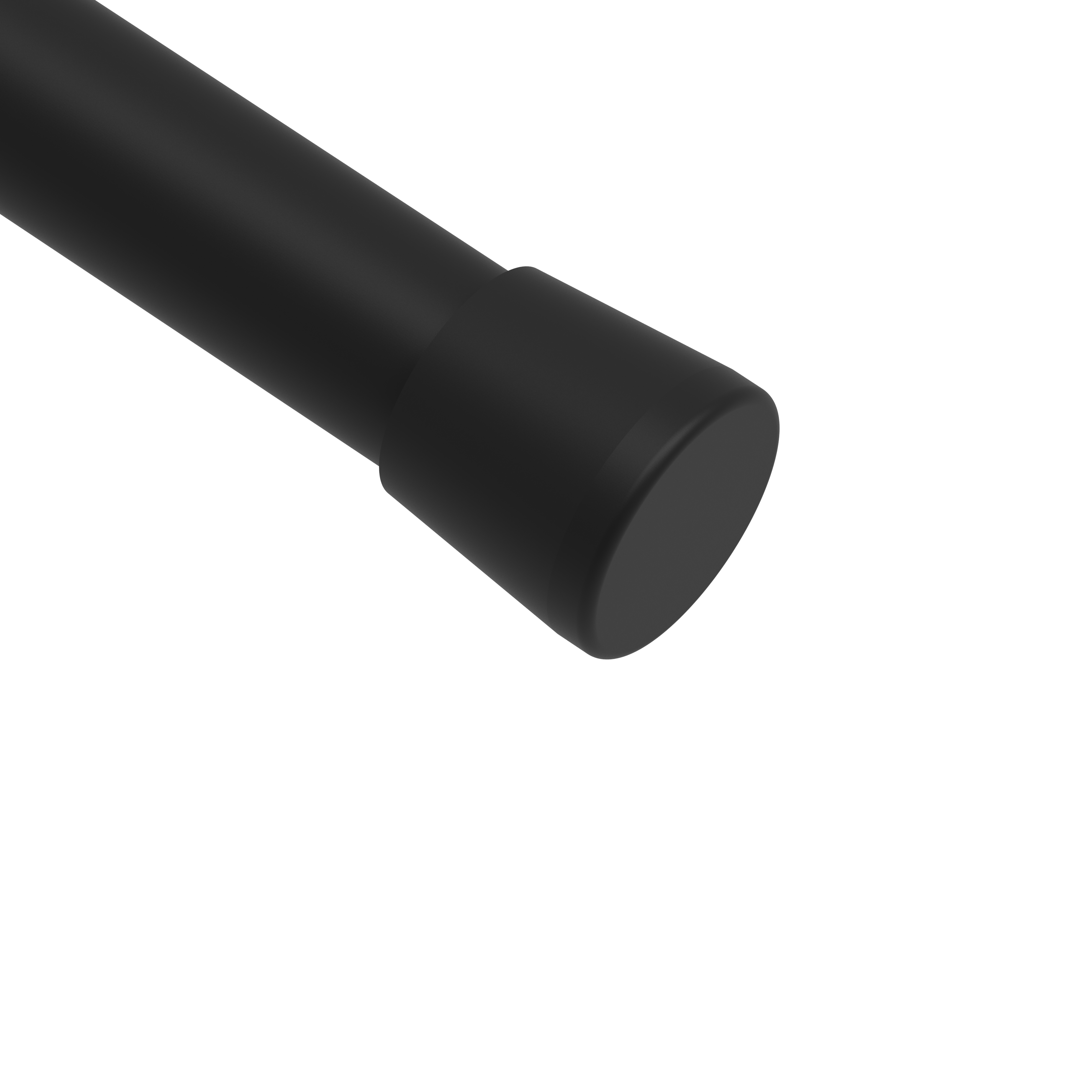 A black rod with a rounded end on a white background.