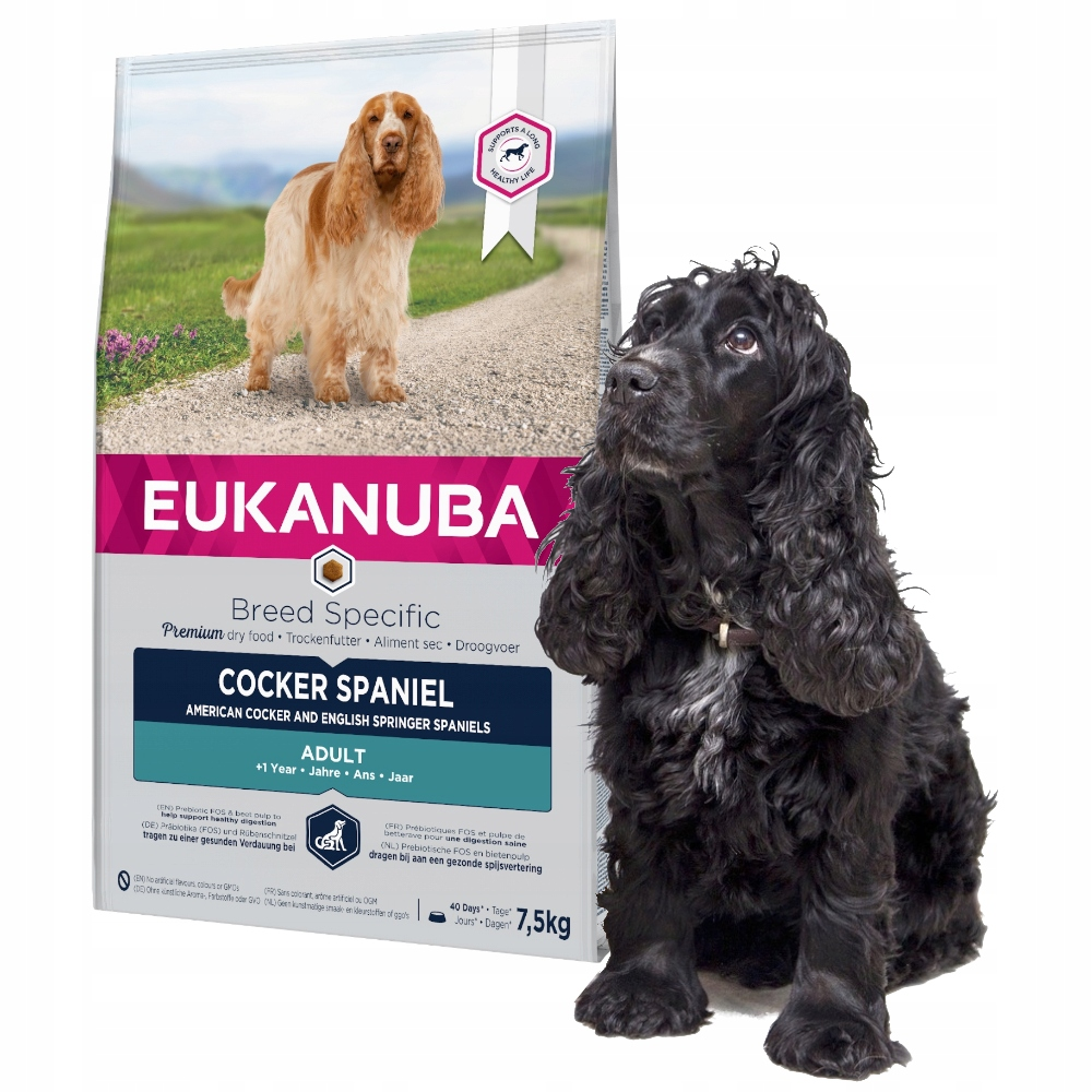 Czarny Cocker Spaniel obok worka karmy Eukanuba dla Cocker Spaniela.