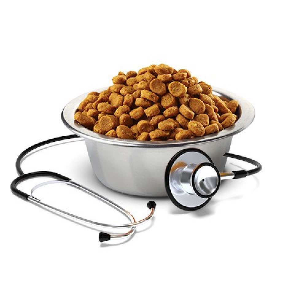 Miska karmy dla psa obok stetoskopu.