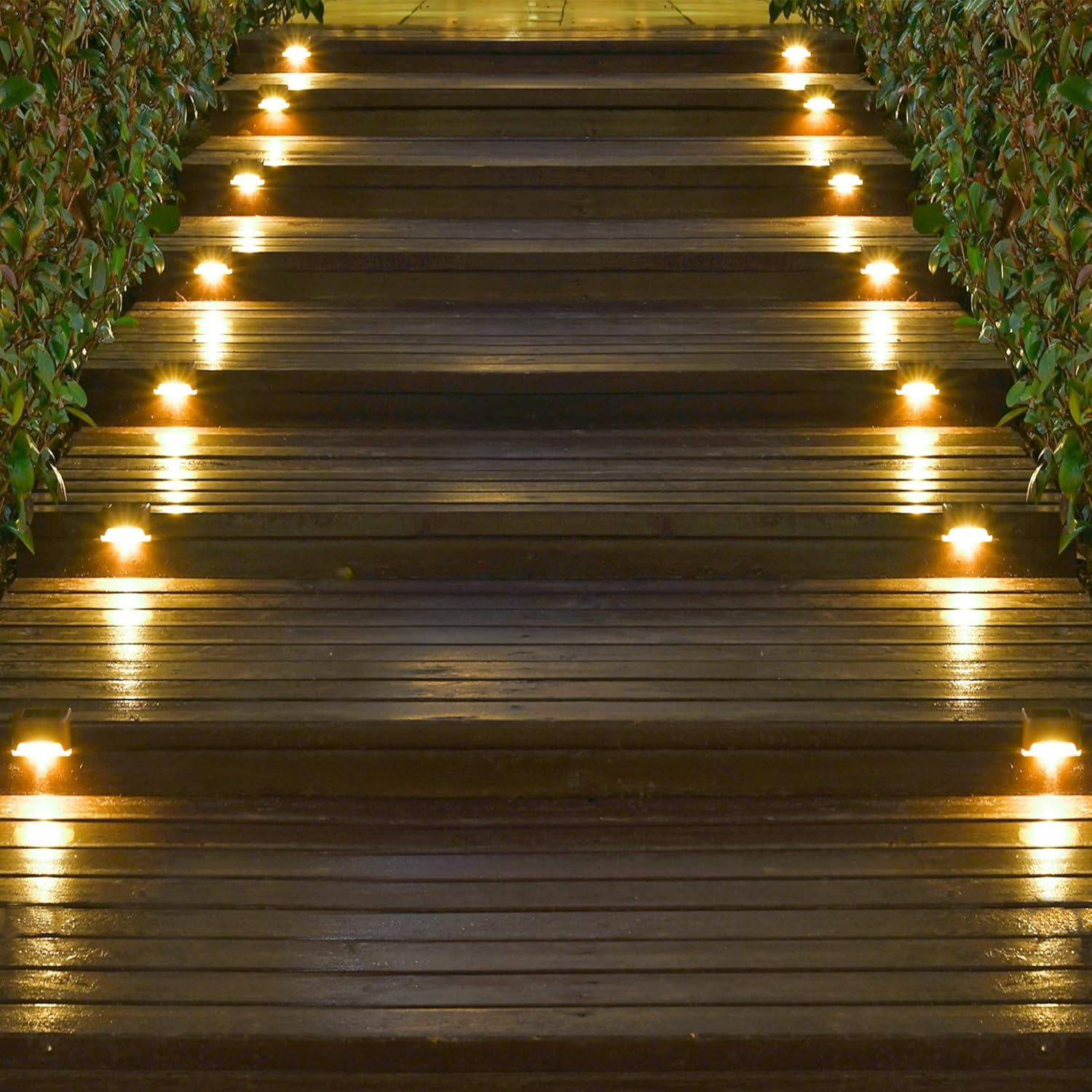 Eine Holztreppe mit Lichtern und grünen Büschen, die nachts beleuchtet sind.