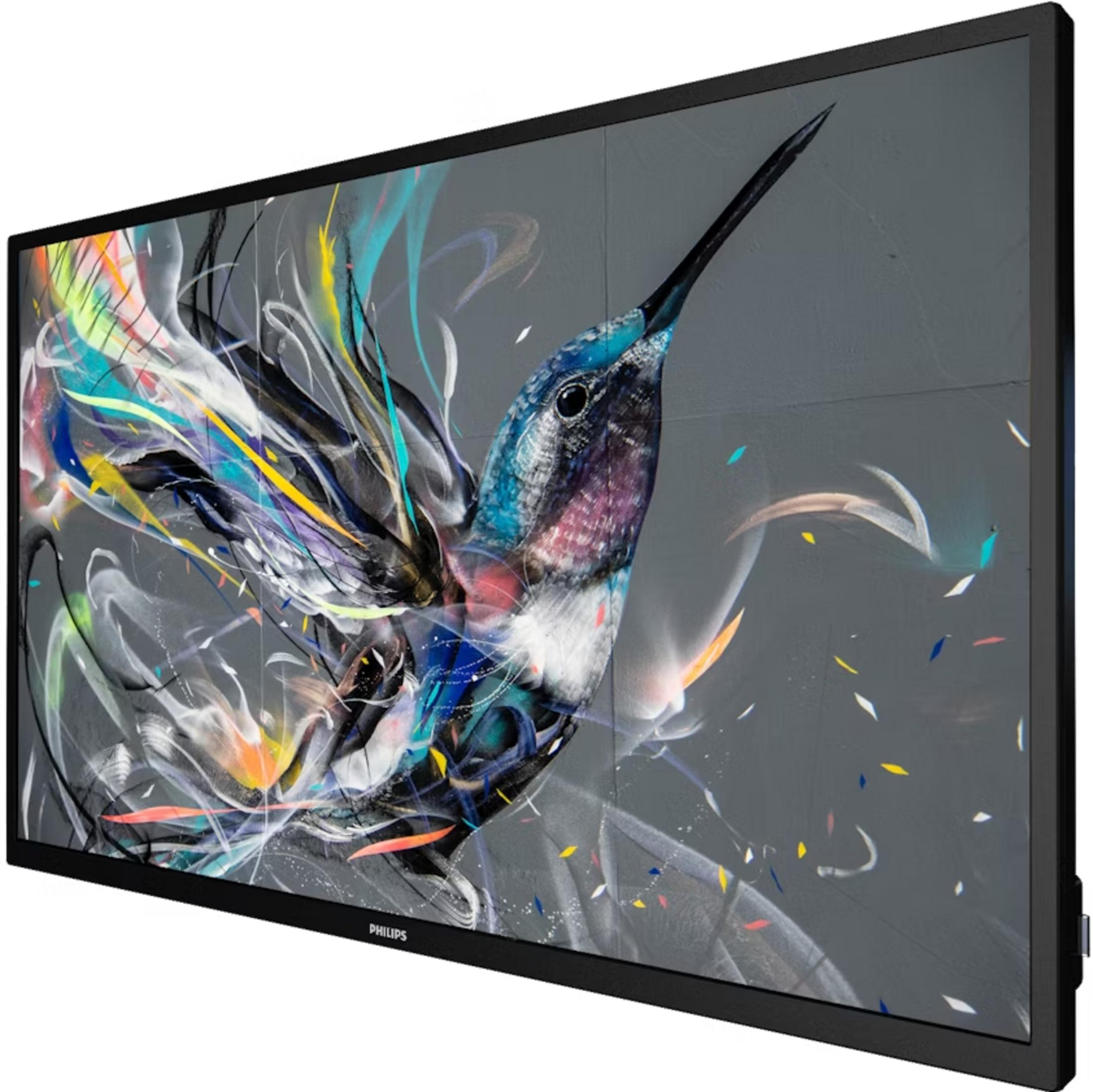 Ein Kolibri mit bunten Farbspritzern auf einem grauen Hintergrund.