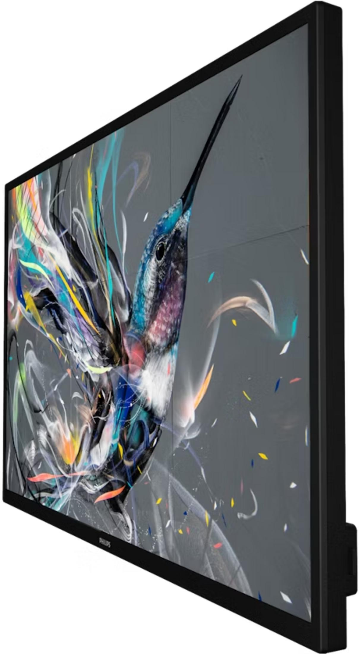 Ein Kolibri mit bunten Farbspritzern auf einem grauen Hintergrund.