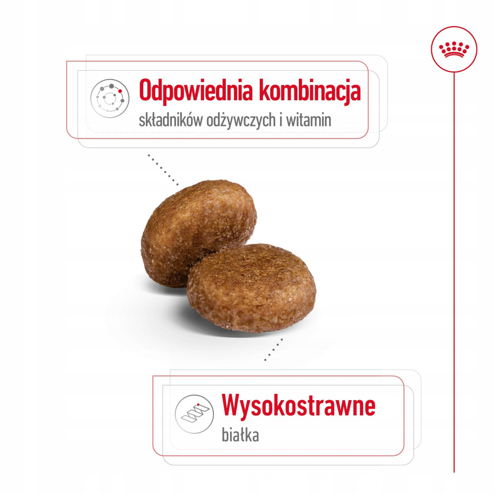 Dwie brązowe krokiety z tekstem. Odpowiednia kombinacja składników odżywczych i witamin.