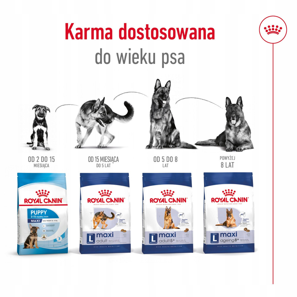 Cztery worki karmy dla psów Royal Canin z owczarkami niemieckimi w różnym wieku.