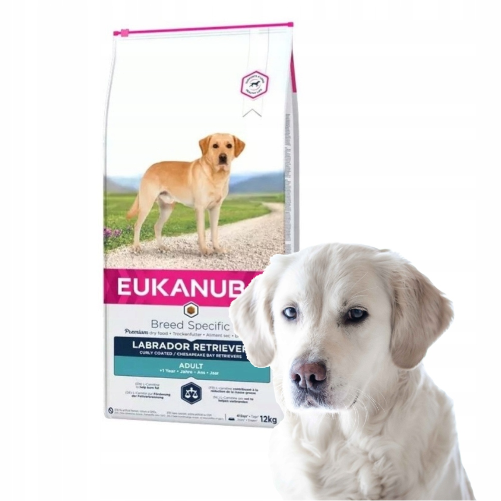 Biały Labrador i worek karmy Eukanuba dla Labrador Retrieverów.