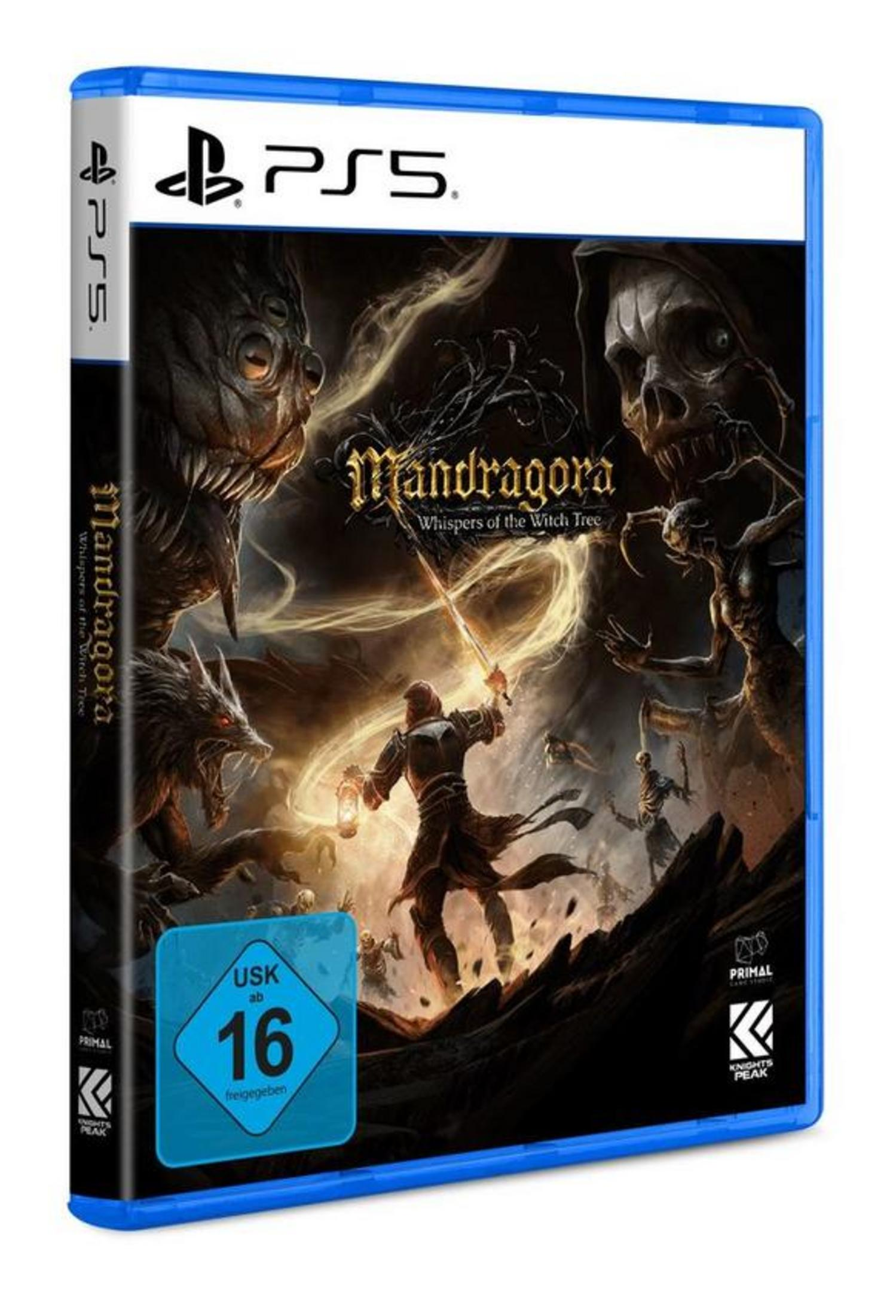 Das Cover von Mandragora PS5 zeigt eine düstere Szene mit einem Krieger im Kampf.