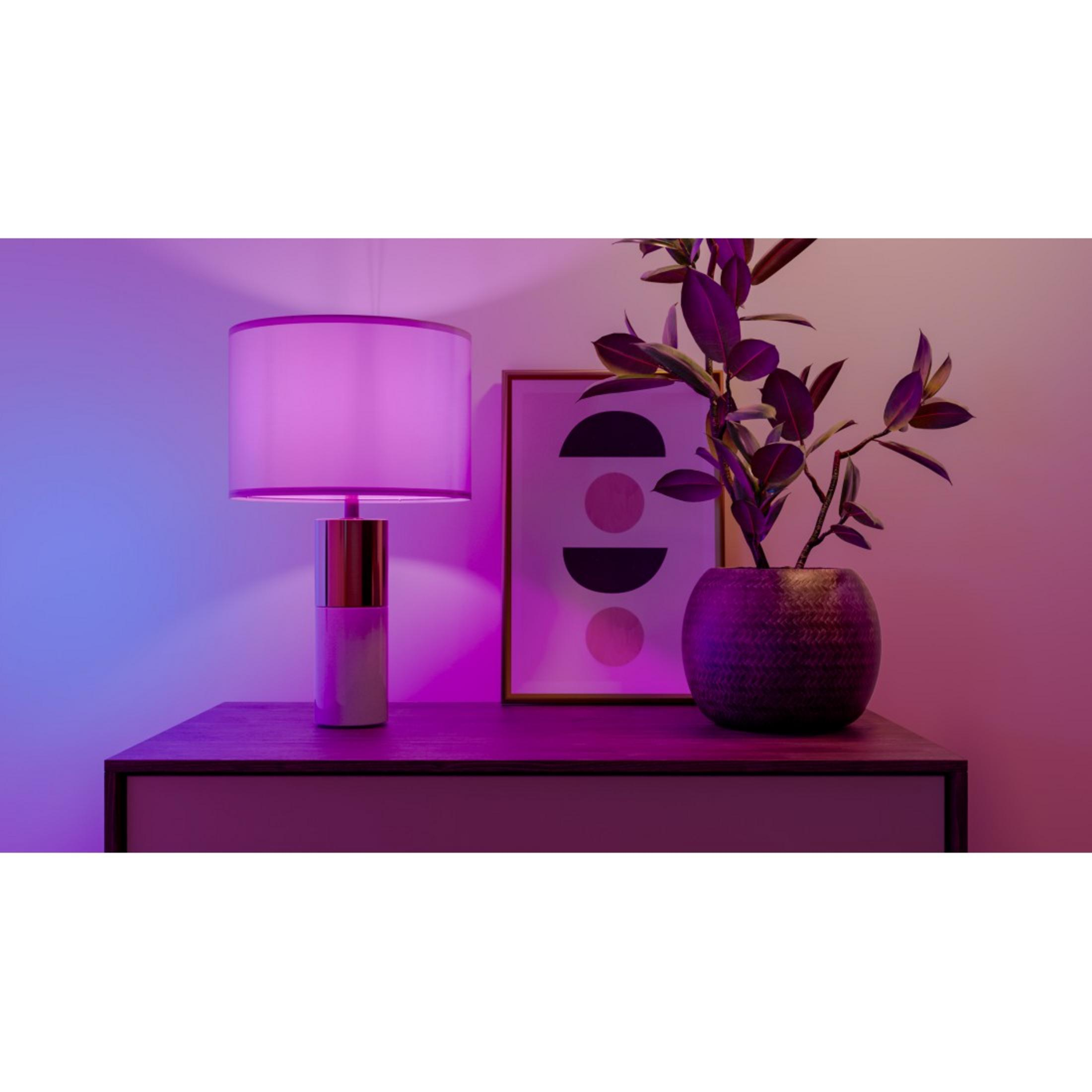 Lampada, pianta e quadro su un comodino, illuminati da luci viola e blu.
