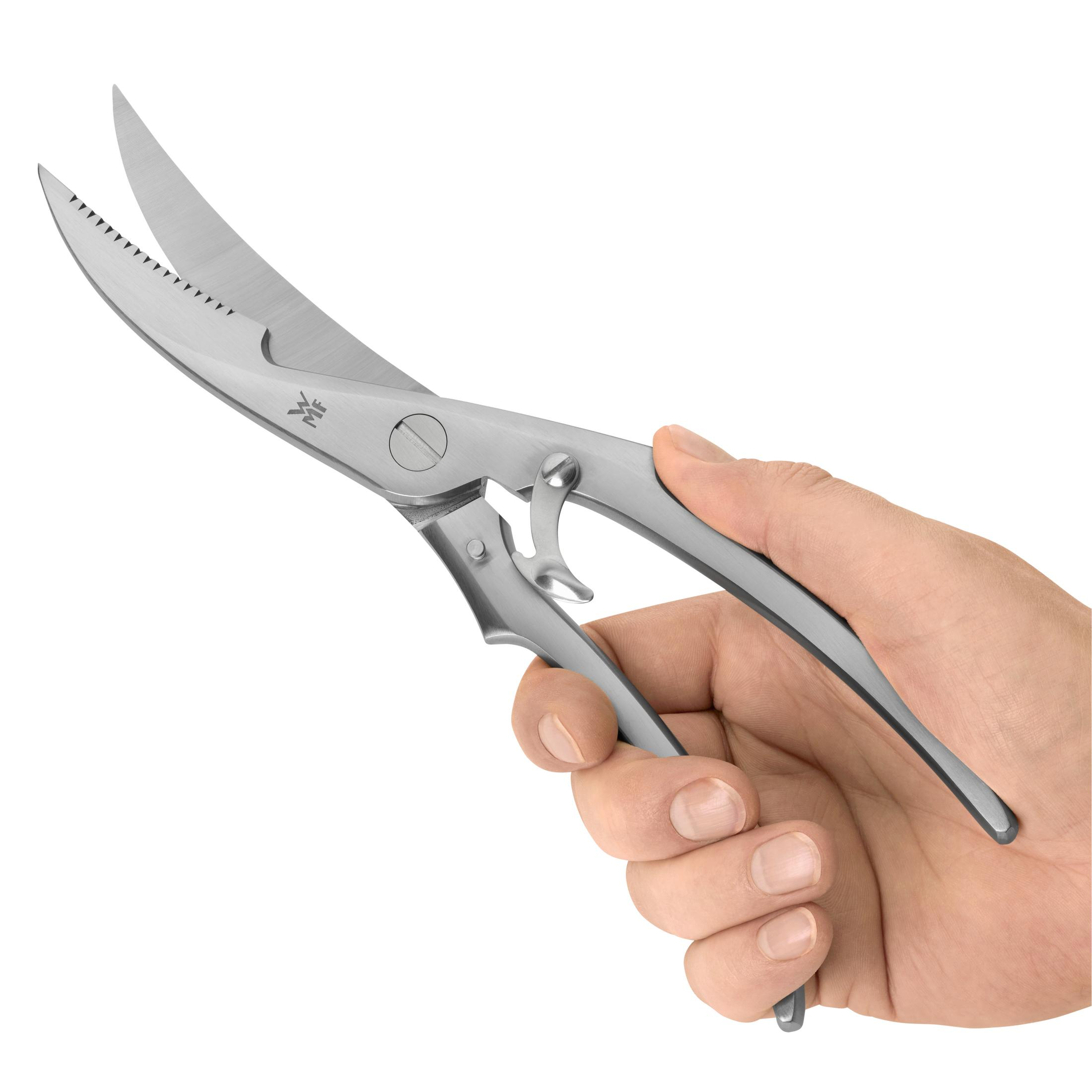 Eine Hand hält eine silberne Geflügelschere mit gezackten Klingen.