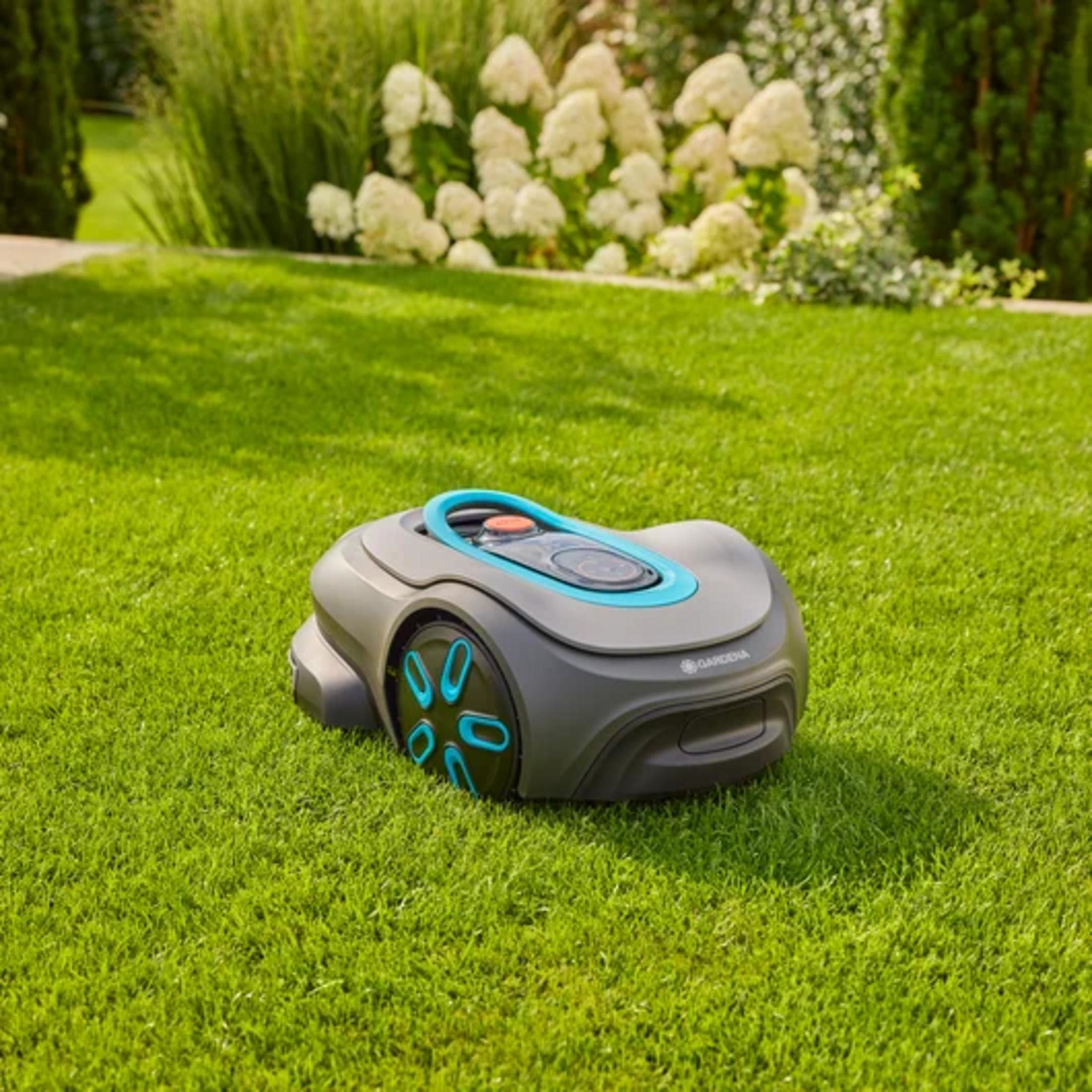 Ein grauer Mähroboter mit blauen Akzenten steht auf einem grünen Rasen.