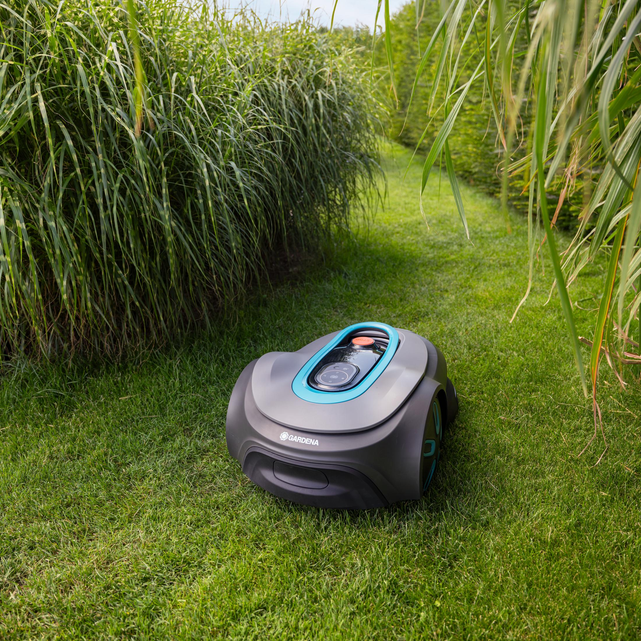 Robot koszący stoi na zielonym trawniku obok wysokich traw.