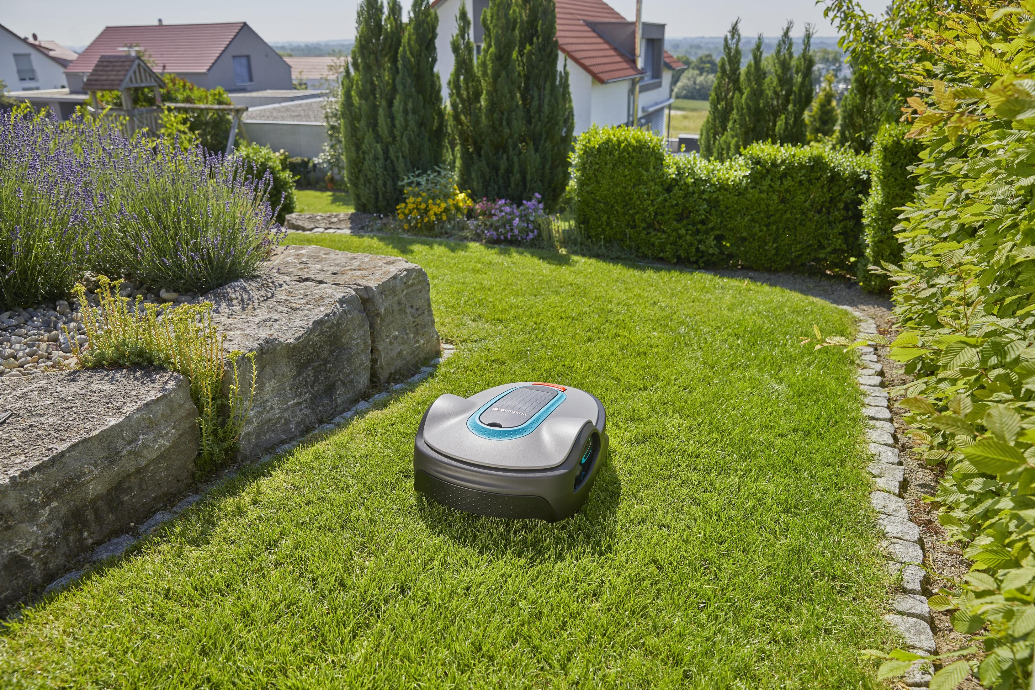Robot koszący na zielonym trawniku, z kamieniami i krzewami w tle.